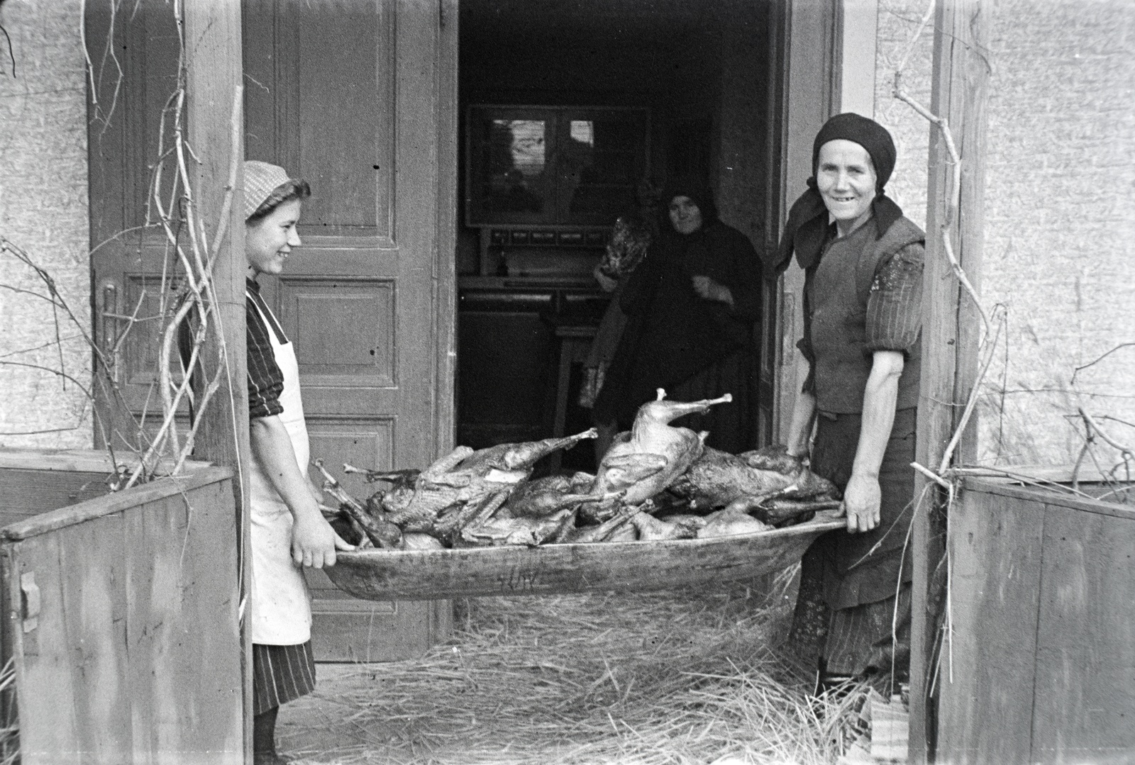 1942, Miklós Lajos, tub, Fortepan #140764