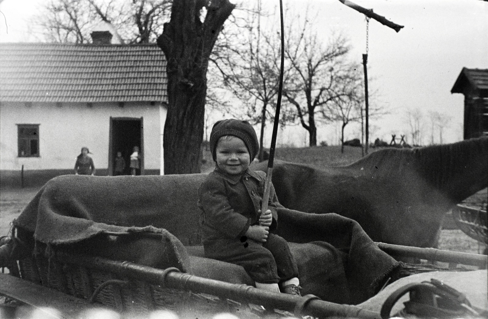 1942, Miklós Lajos, Horse-drawn carriage, kid, whip, Fortepan #140767