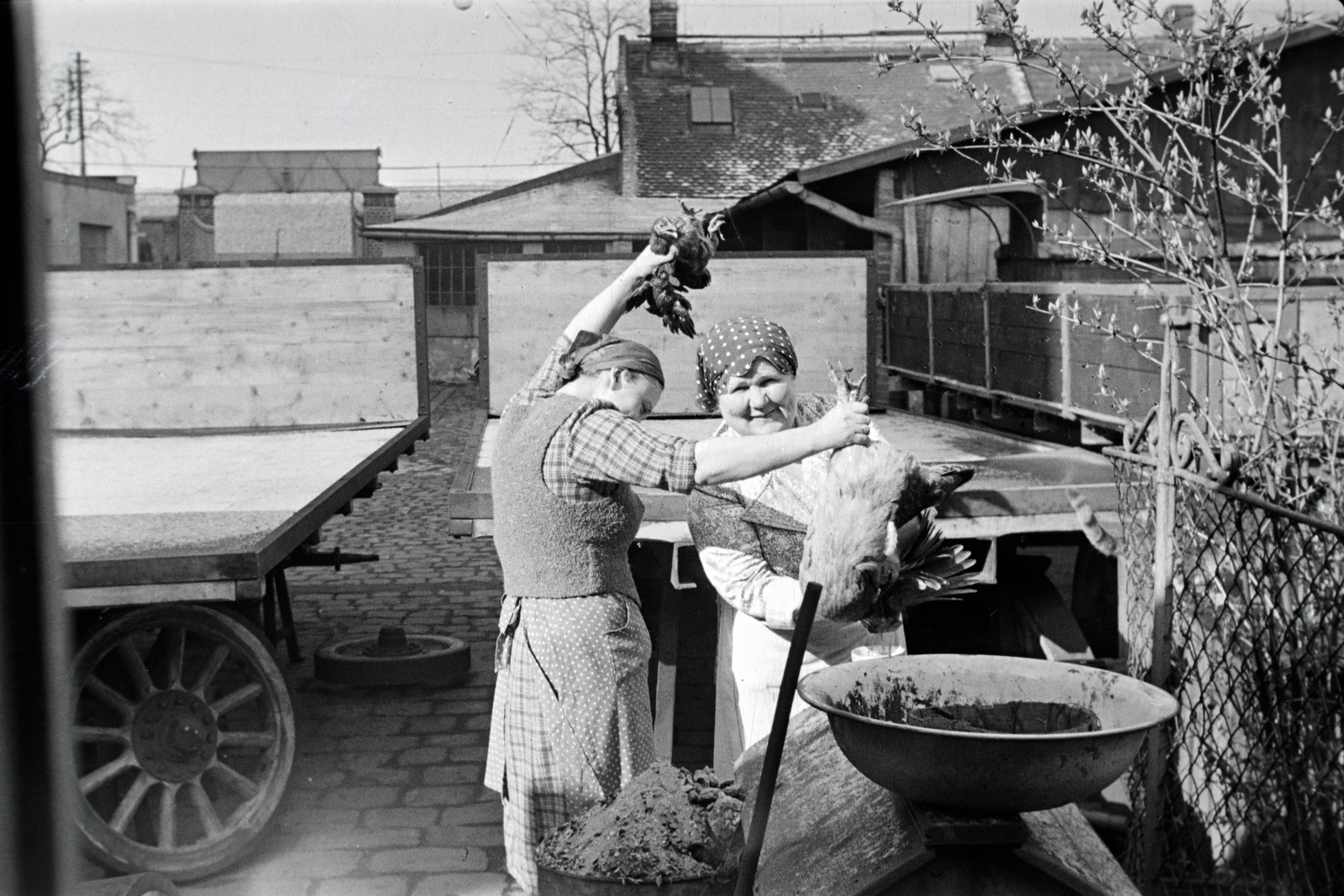 Magyarország, Budapest X., Vaspálya utca 4., Miklós Lajos járműgyártó mester üzemének udvara., 1943, Miklós Lajos, baromfi, Budapest, Fortepan #140867