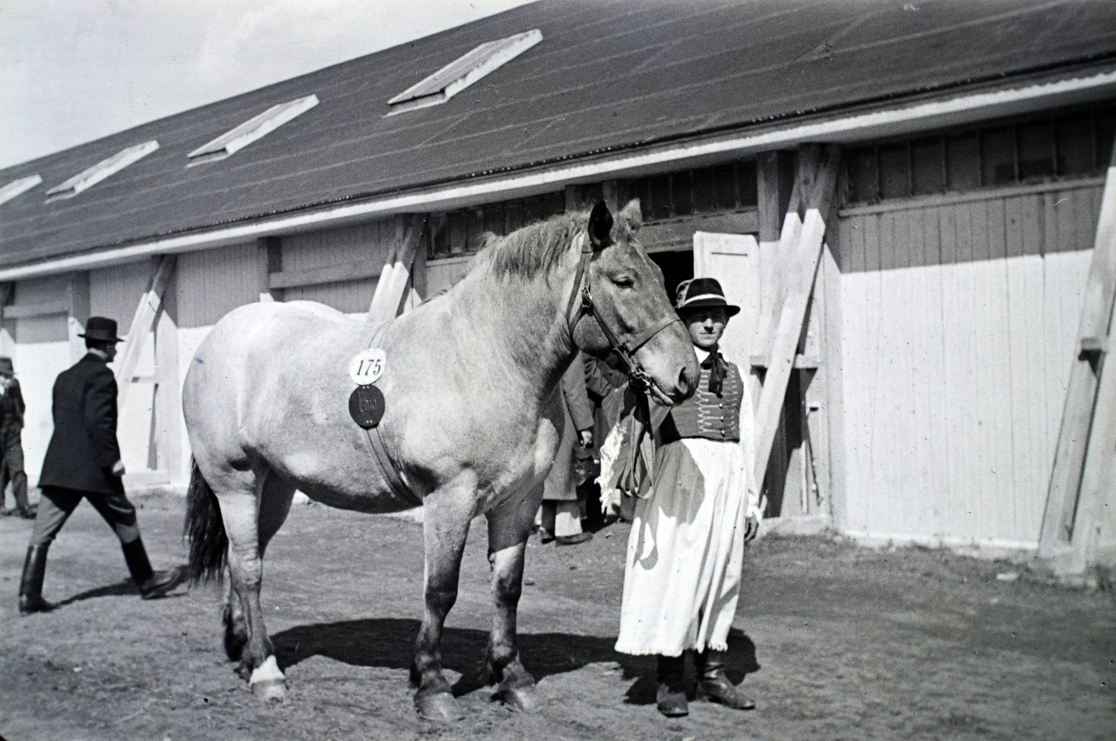 Hungary, Budapest X., Albertirsai út, Mezőgazdasági Kiállítás., 1943, Miklós Lajos, horse, folk costume, pants, Budapest, Fortepan #140869