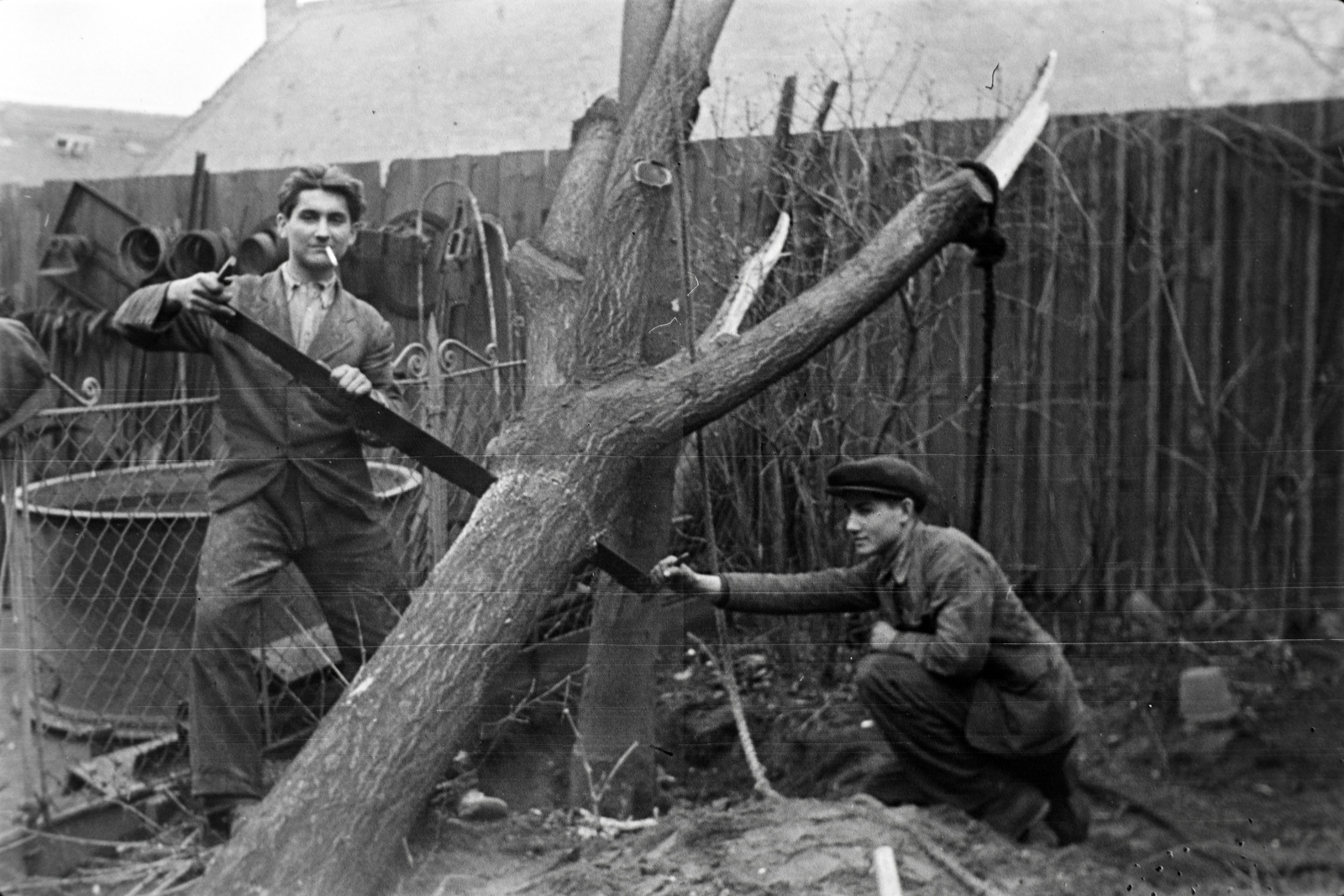 Magyarország, Budapest X., Vaspálya utca 4., a felvétel Miklós Lajos járműgyártó mester üzemének udvarában készült., 1941, Miklós Lajos, fűrész, favágás, Budapest, Fortepan #140976