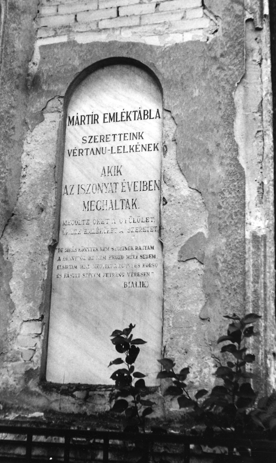 Magyarország, Kiskőrös, Petőfi Sándor út 3., zsinagóga-kistemplom. Ma zeneiskola, hangversenyterem., 1983, Gazda Anikó, Fortepan #141168