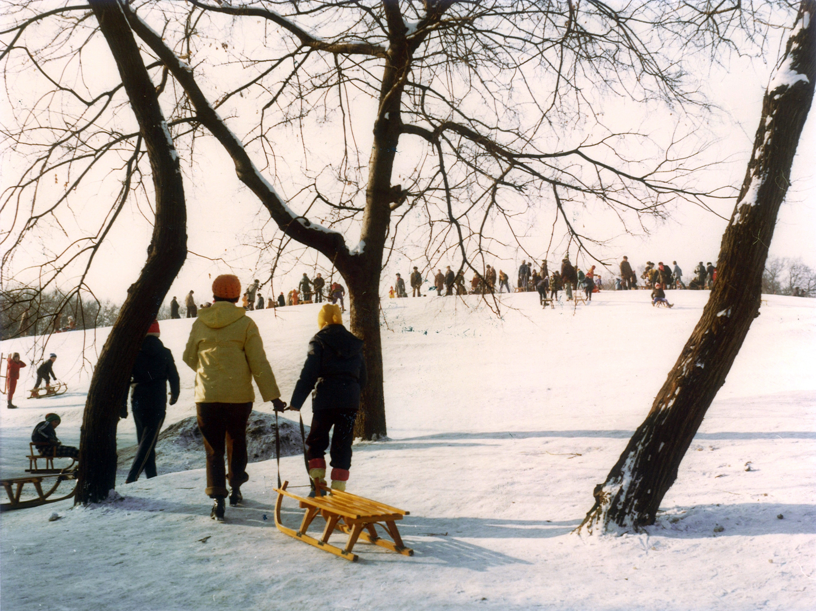 Hungary, Budapest III., Óbudai-sziget, Május 9. park., 1981, Hlatky Katalin-Főkert, winter, snow, sledge, Budapest, Fortepan #141223