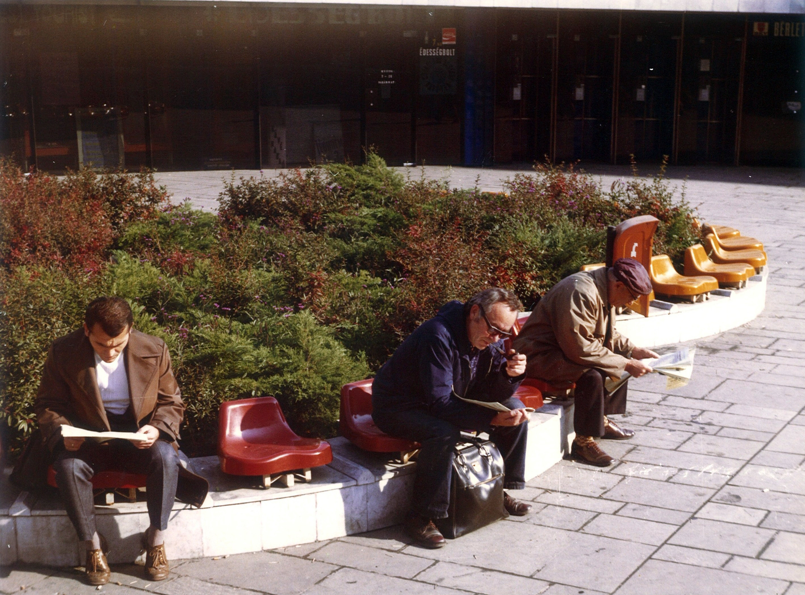 Hungary, Budapest I., Déli pályaudvar előtti aluljáró., 1980, Hlatky Katalin-Főkert, Budapest, bench, Fortepan #141250