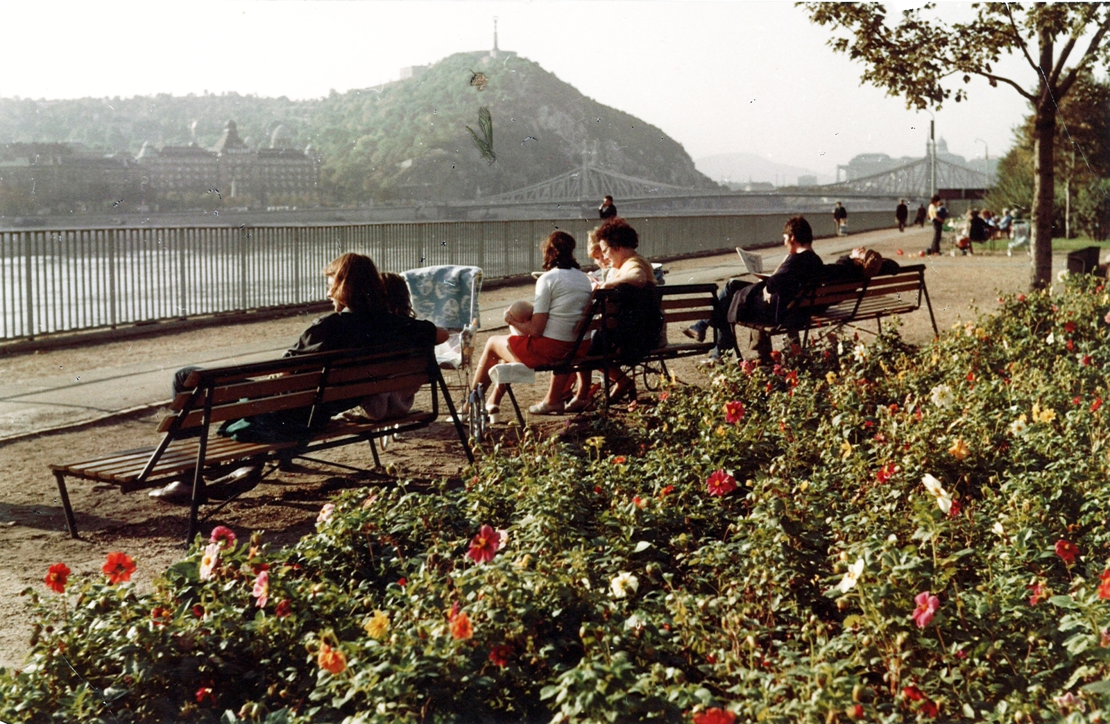 Magyarország, Budapest IX., a mai Nehru part, háttérben a Gellért-hegy., 1976, Hlatky Katalin-Főkert, színes, Budapest, Duna-híd, Feketeházy János-terv, babakocsi, virágágyás, pad, Fortepan #141365
