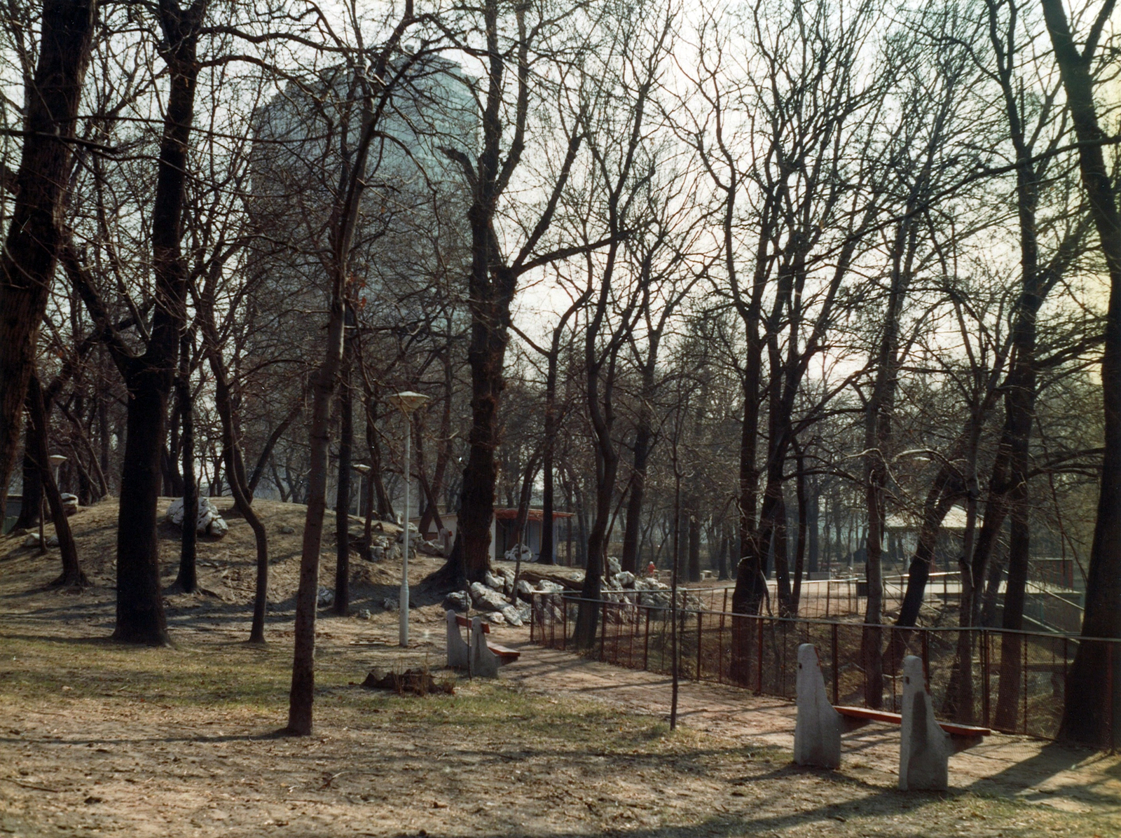 Hungary, Budapest VIII., Orczy kert (Asztalos János Ifjúsági Park), háttérben a SOTE (később Semmelweis Egyetem) Elméleti Tömbje., 1977, Hlatky Katalin-Főkert, Budapest, Fortepan #141373