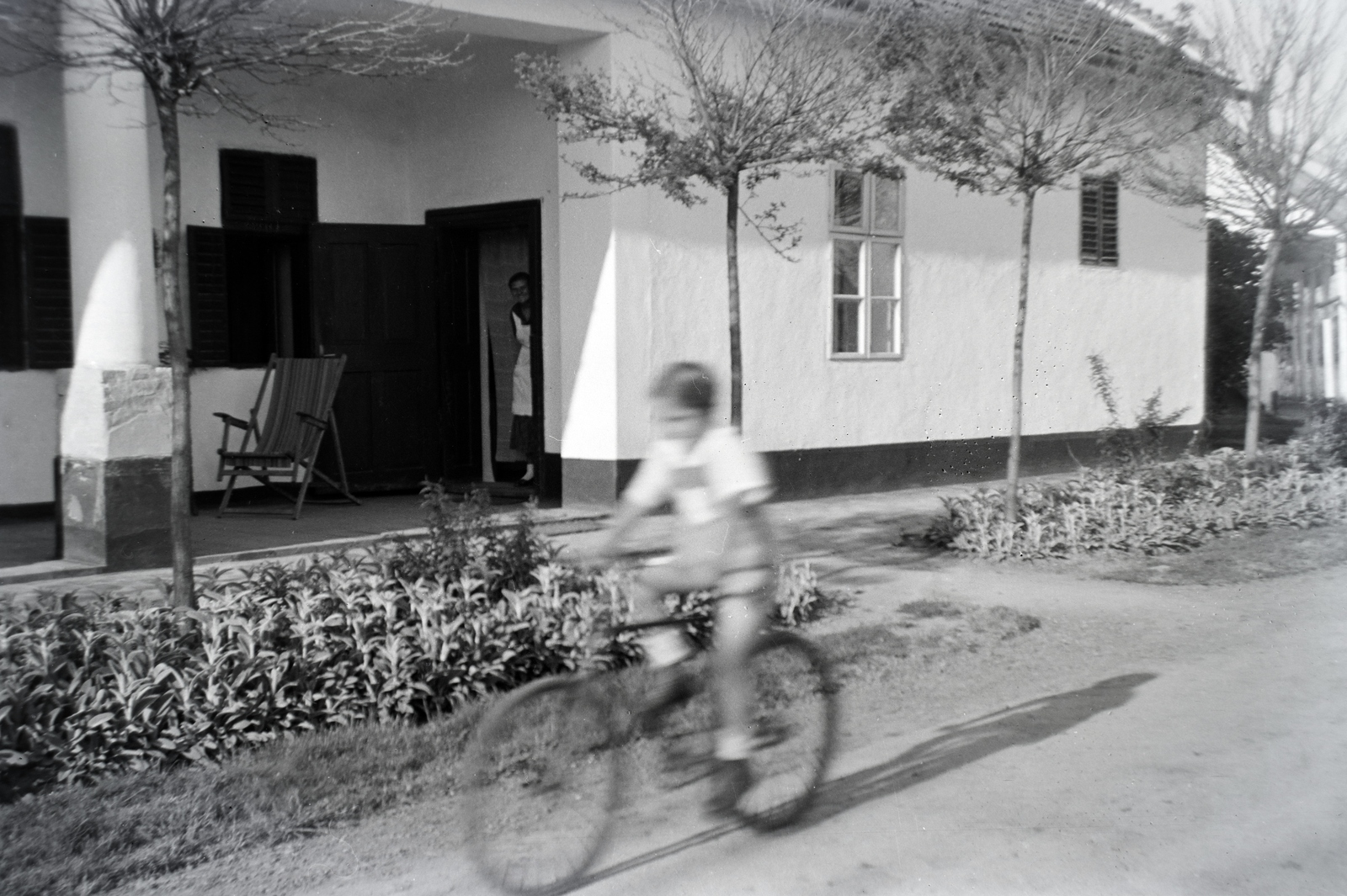 1938, Bencze László, bicycle, Fortepan #141413