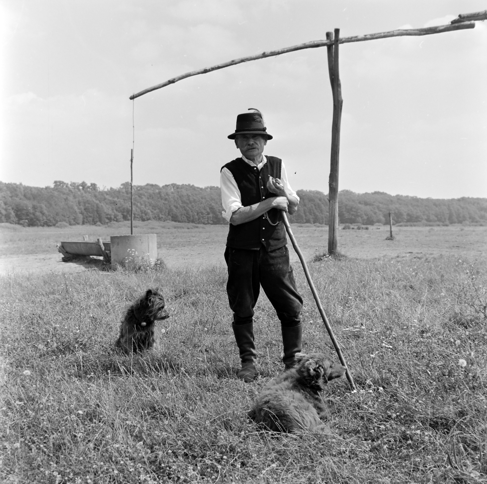 1974, Bencze László, dog, shadoof, shepherd, shepherd dog, Fortepan #141550