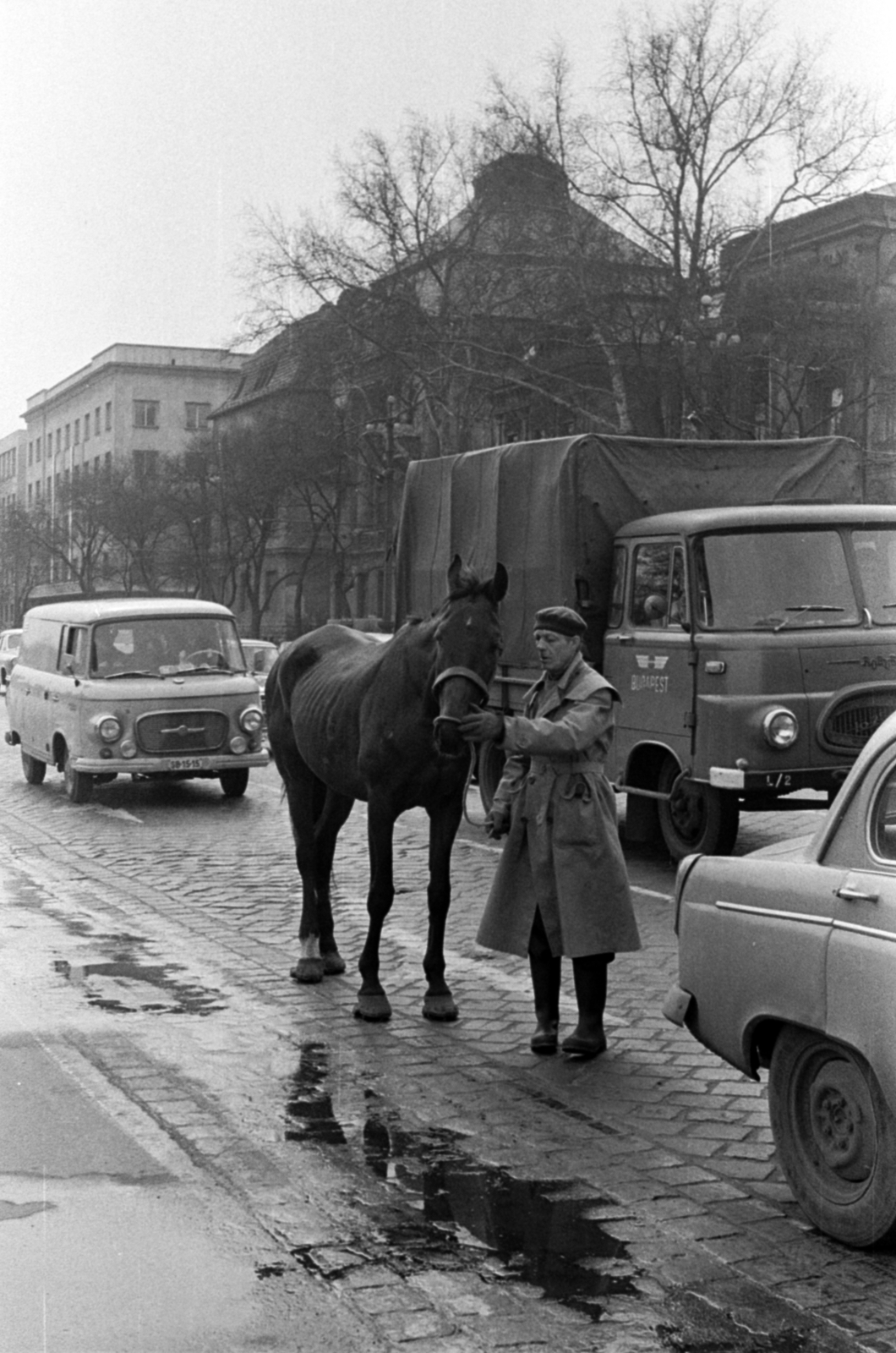 Magyarország, Budapest VI.,Budapest XIV., Dózsa György út a Délibáb utcánál, a Benczúr utca felé nézve, 1968, Péterffy István, ló, Barkas-márka, Robur-márka, svájcisapka, Budapest, Fortepan #141638