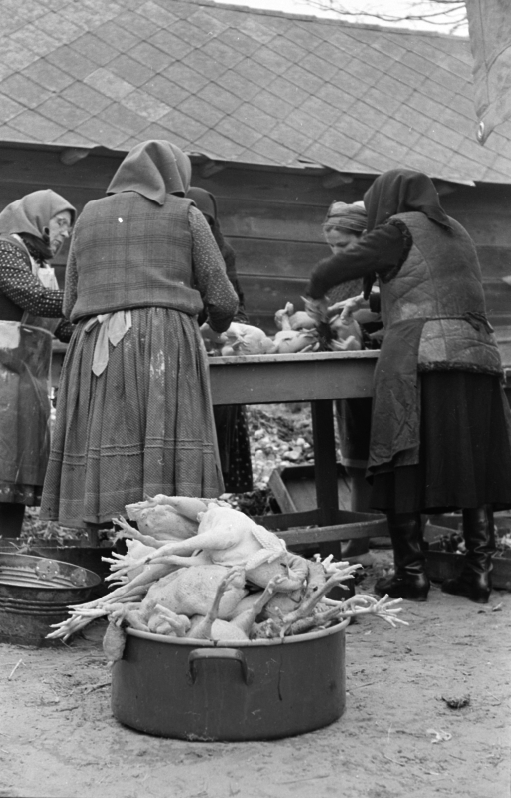 Hungary, Ecser, esküvői vacsora előkészületei., 1969, Péterffy István, cooking, chicken plucking, Fortepan #141762