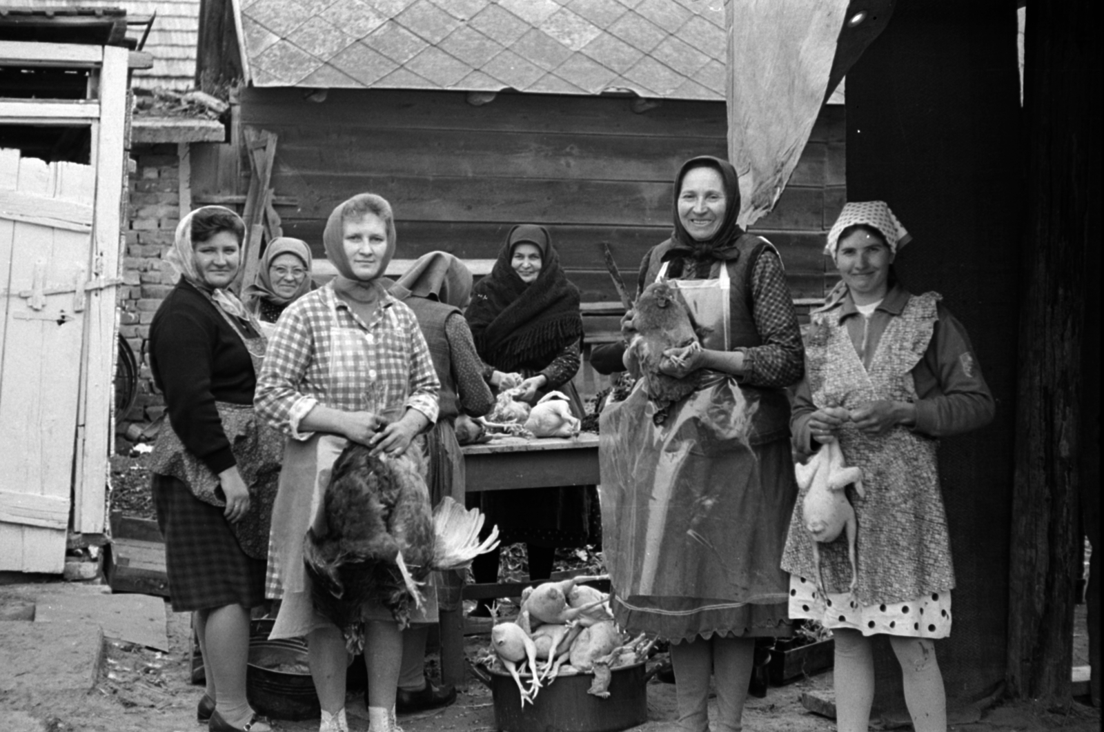 Hungary, Ecser, esküvői vacsora előkészületei., 1969, Péterffy István, cooking, chicken plucking, Fortepan #141767