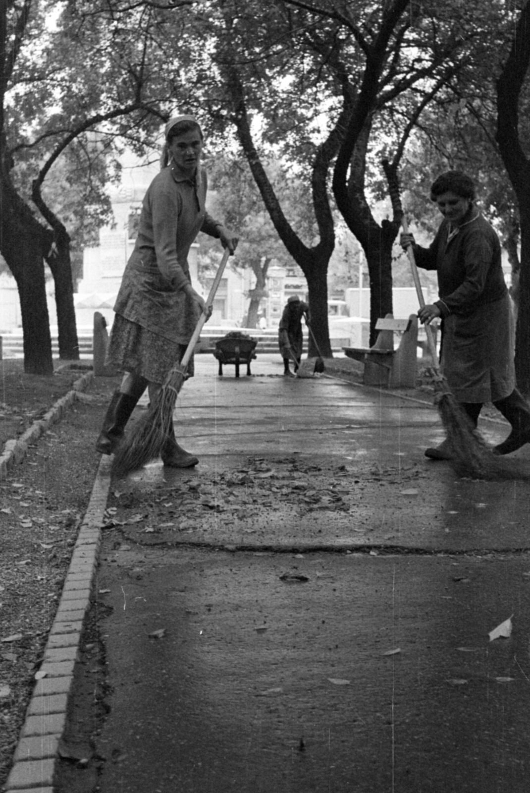 Hungary, Cegléd, Szabadság tér., 1969, Péterffy István, sweeper, broom, wheelbarrow, Fortepan #141774