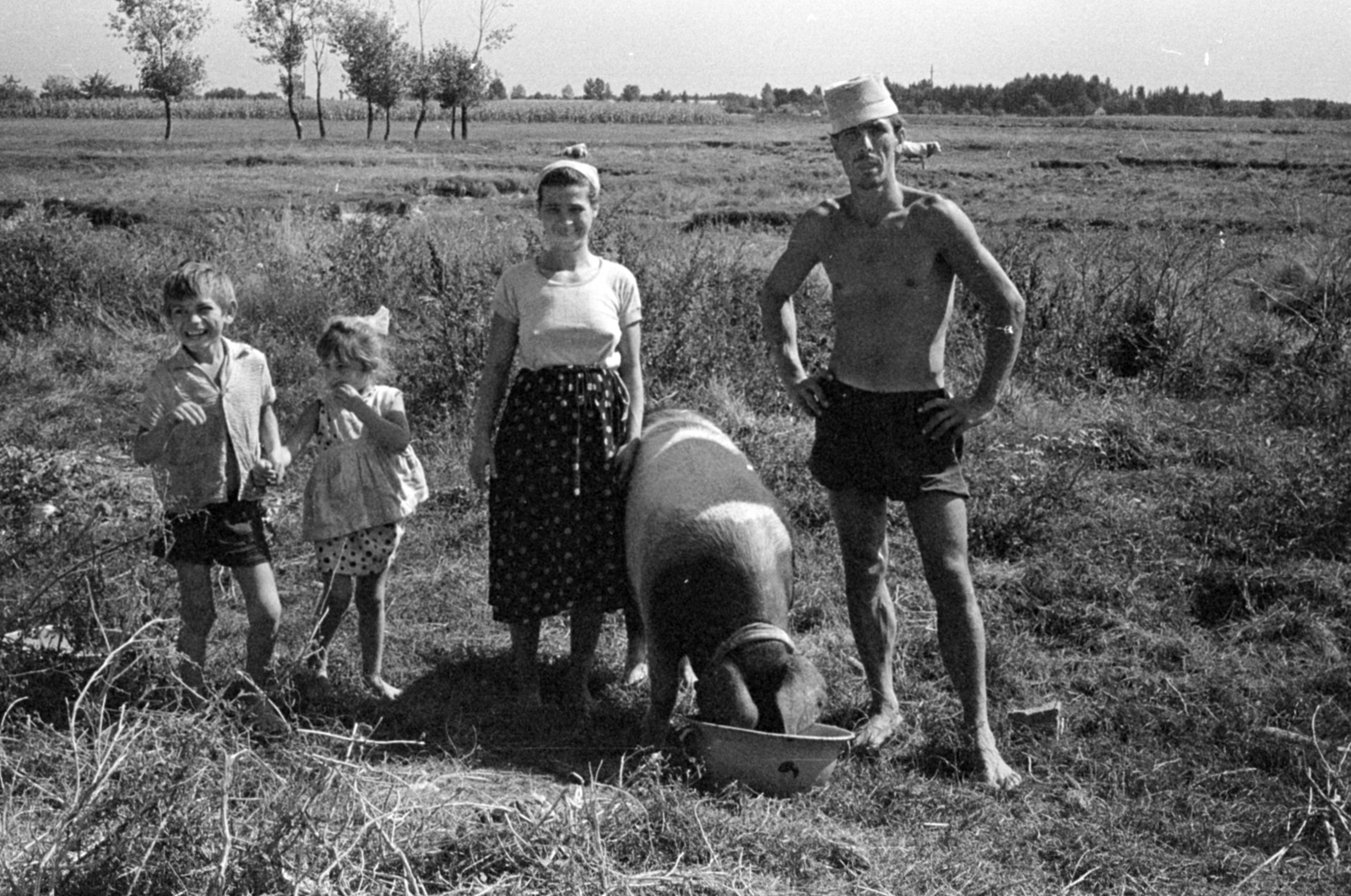 1969, Péterffy István, family, pig, Best of, Fortepan #141825