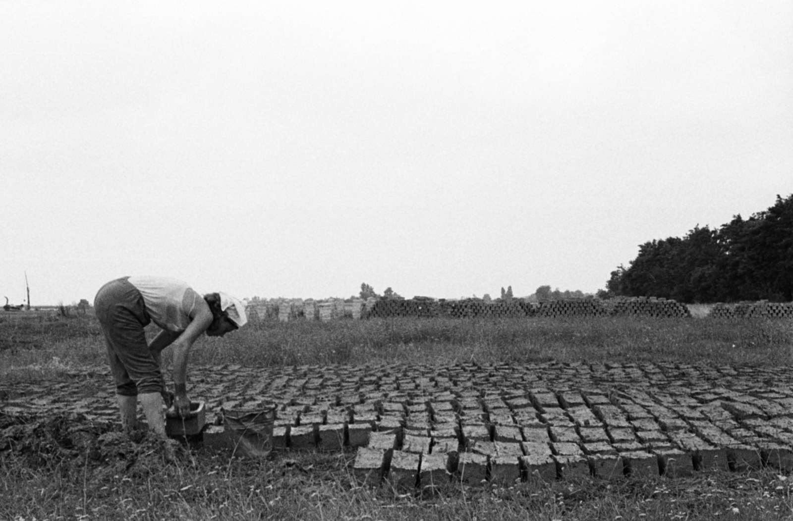 Hungary, Cegléd, vályogvetés a város határában., 1969, Péterffy István, brick, brick making, clay masonry, Fortepan #141837