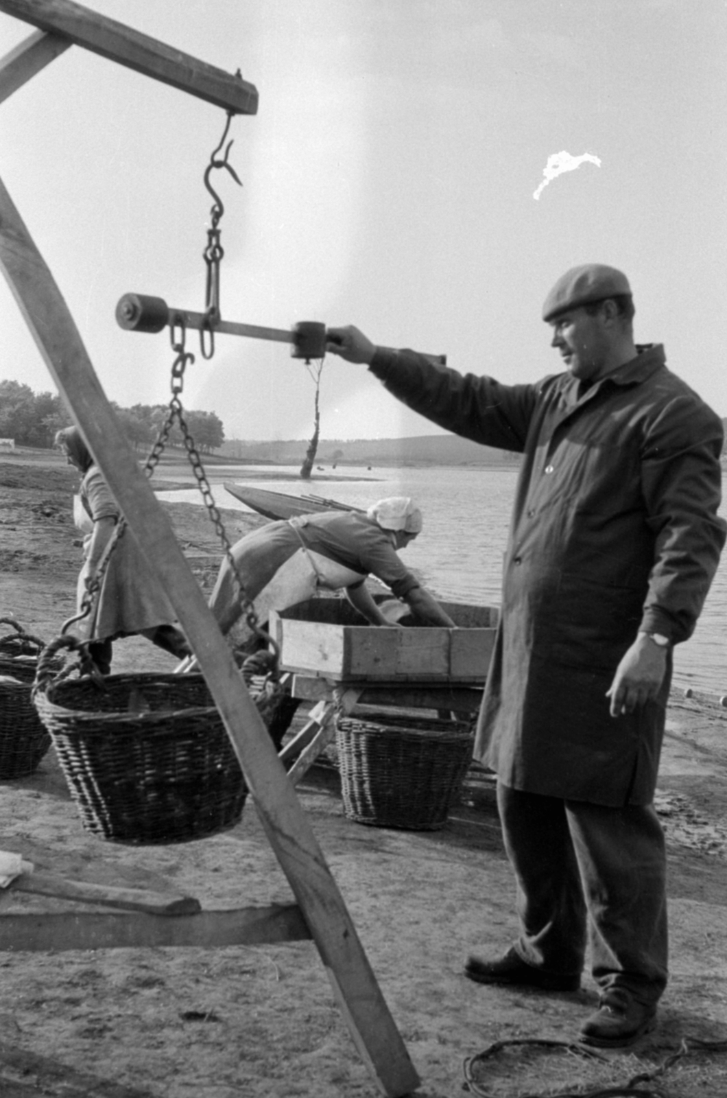 Hungary, Úri, halastó., 1969, Péterffy István, lake, basket, headscarf, scaffolding, cloak, scale, meat apron, fishpond, Fortepan #141884