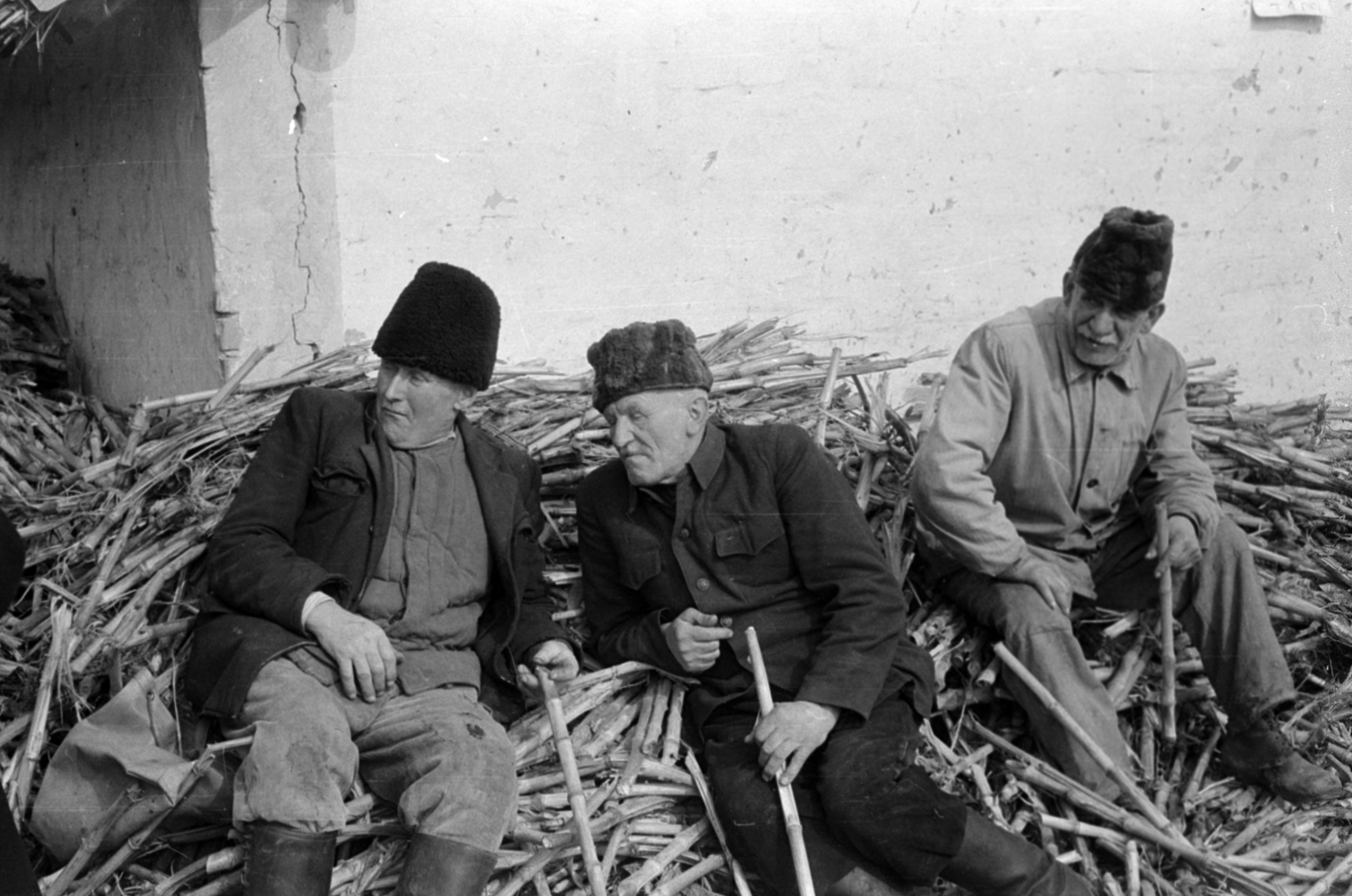 1967, Péterffy István, Fortepan #141934