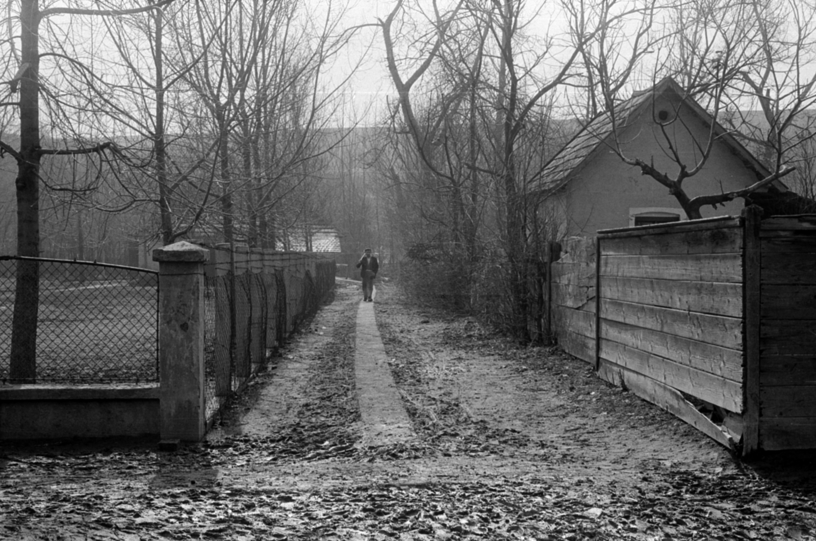 Hungary, Bénye, gyalogút az iskola mellett a Fő út felől nézve., 1966, Péterffy István, fence, Fortepan #141952
