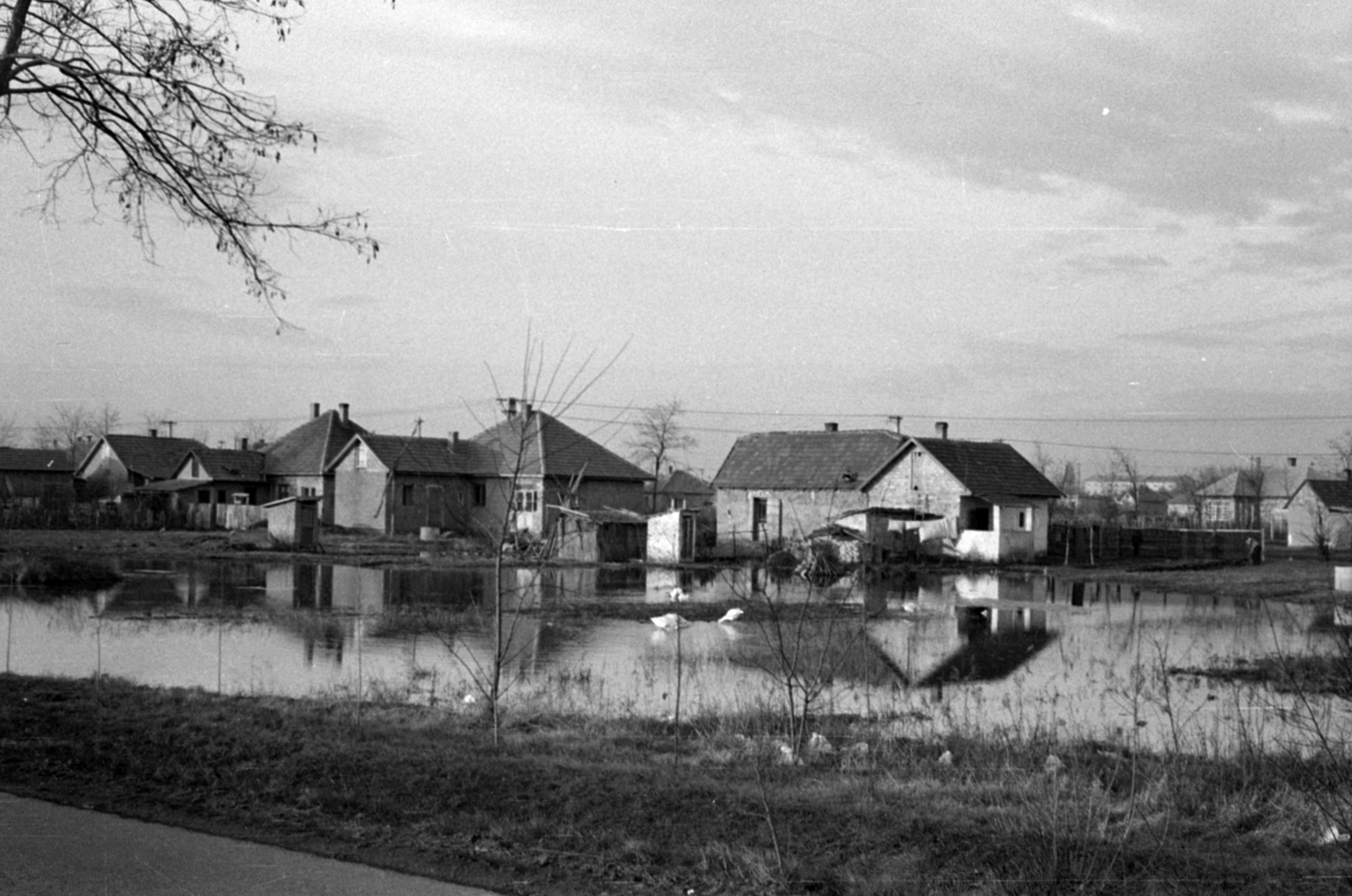 Magyarország, 1966, Péterffy István, víztükör, belvíz, Fortepan #141966