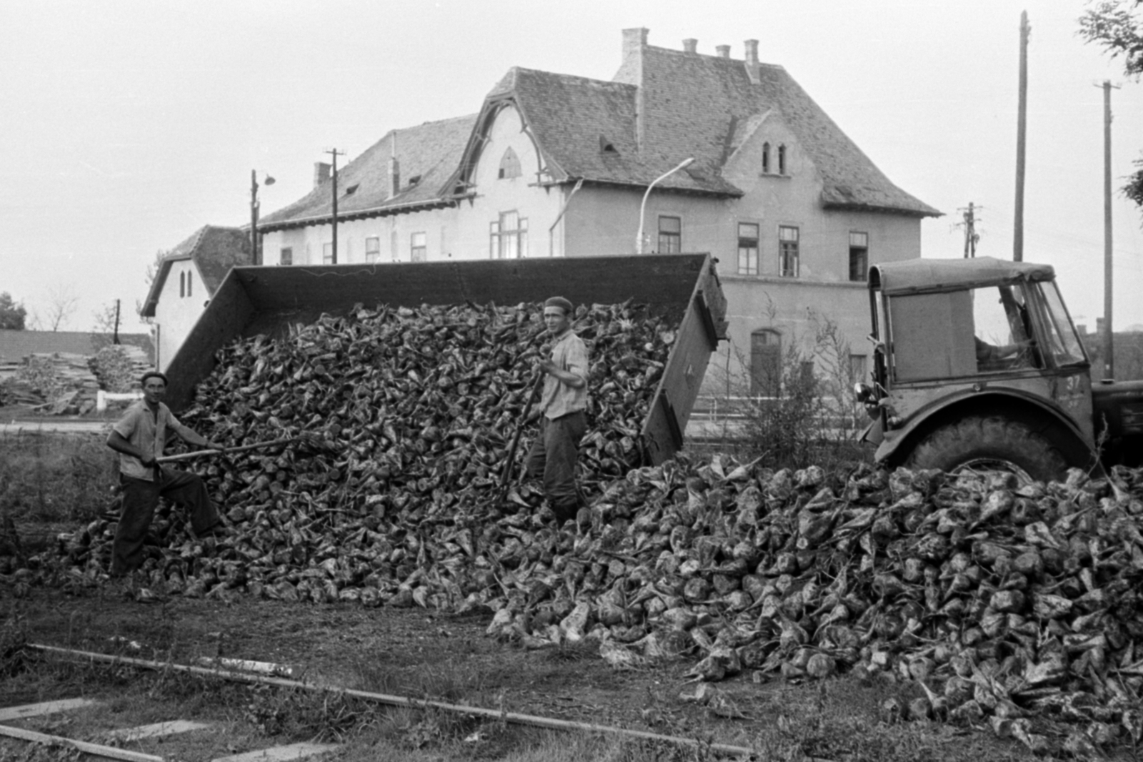 Hungary, Monor, cukorrépa lerakodása a vasútállomáson, a háttérben az Ady Endre utcai vasúti átjárónál az egykori ecetgyár épülete., 1967, Péterffy István, tractor, trailer, sugar beet, making of sugar, Fortepan #142085