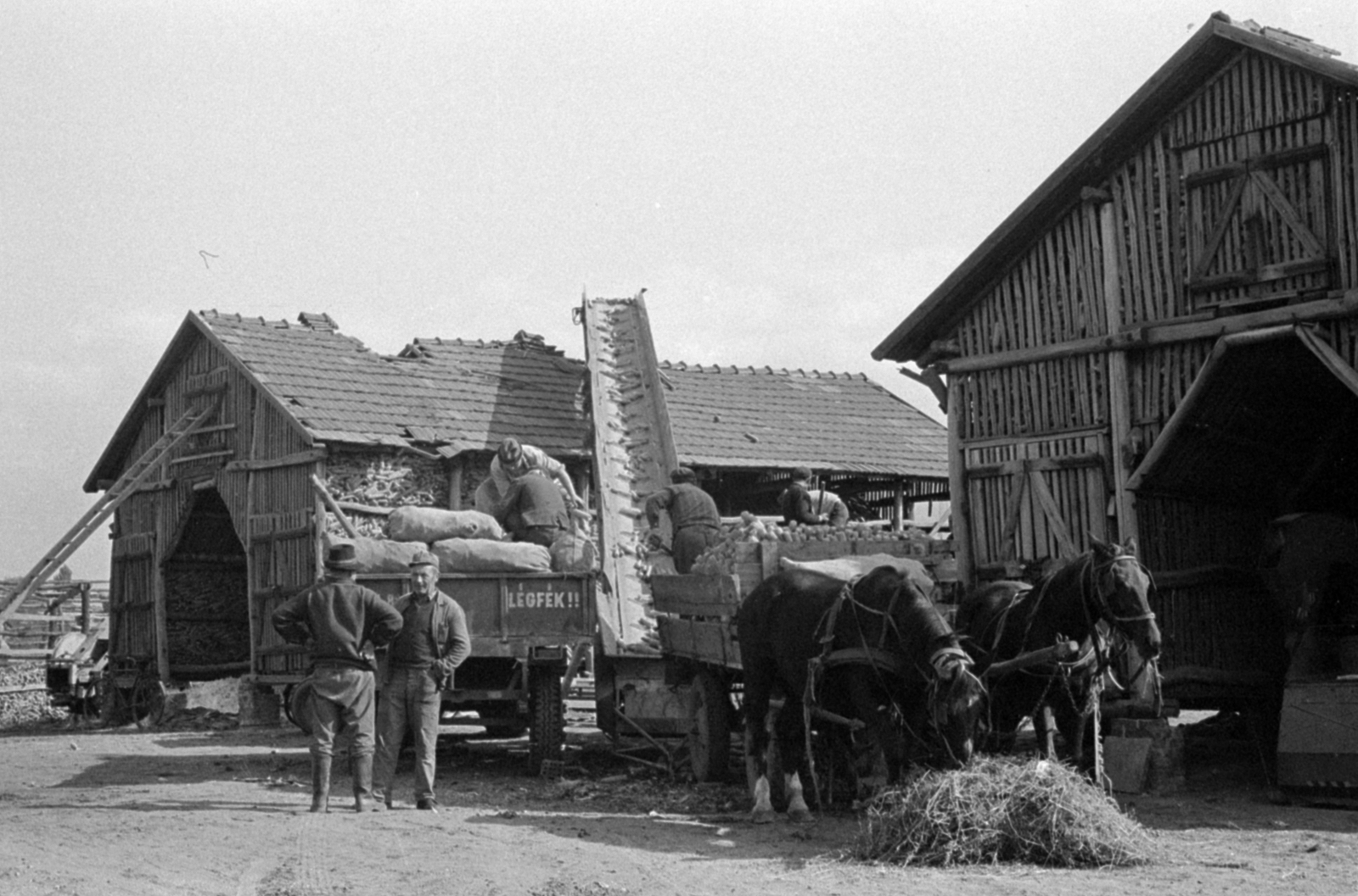 Hungary, Vecsés, az Ezüstkalász Tsz majorja, ikergóré., 1971, Péterffy István, Horse-drawn carriage, conveyor belt, produce, Fortepan #142169