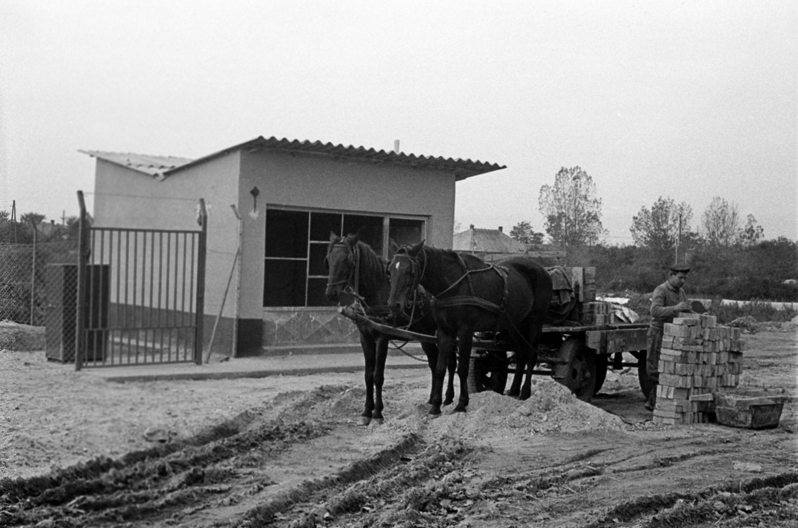 1971, Péterffy István, Horse-drawn carriage, construction, Fortepan #142179
