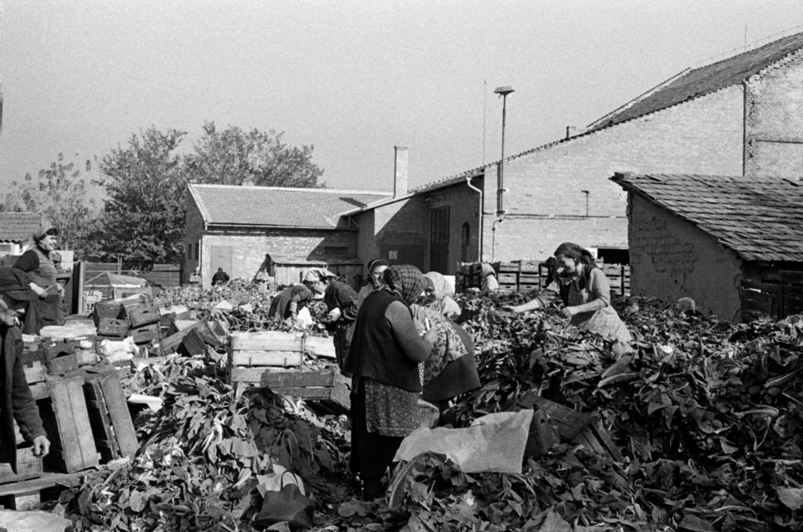 Magyarország, 1966, Péterffy István, otthonka, láda, Fortepan #142443