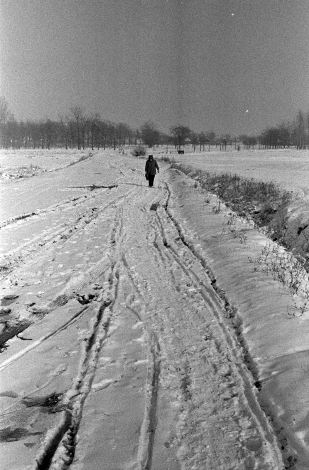 Hungary, Albena, 1969, Péterffy István, winter, snow, Fortepan #142453