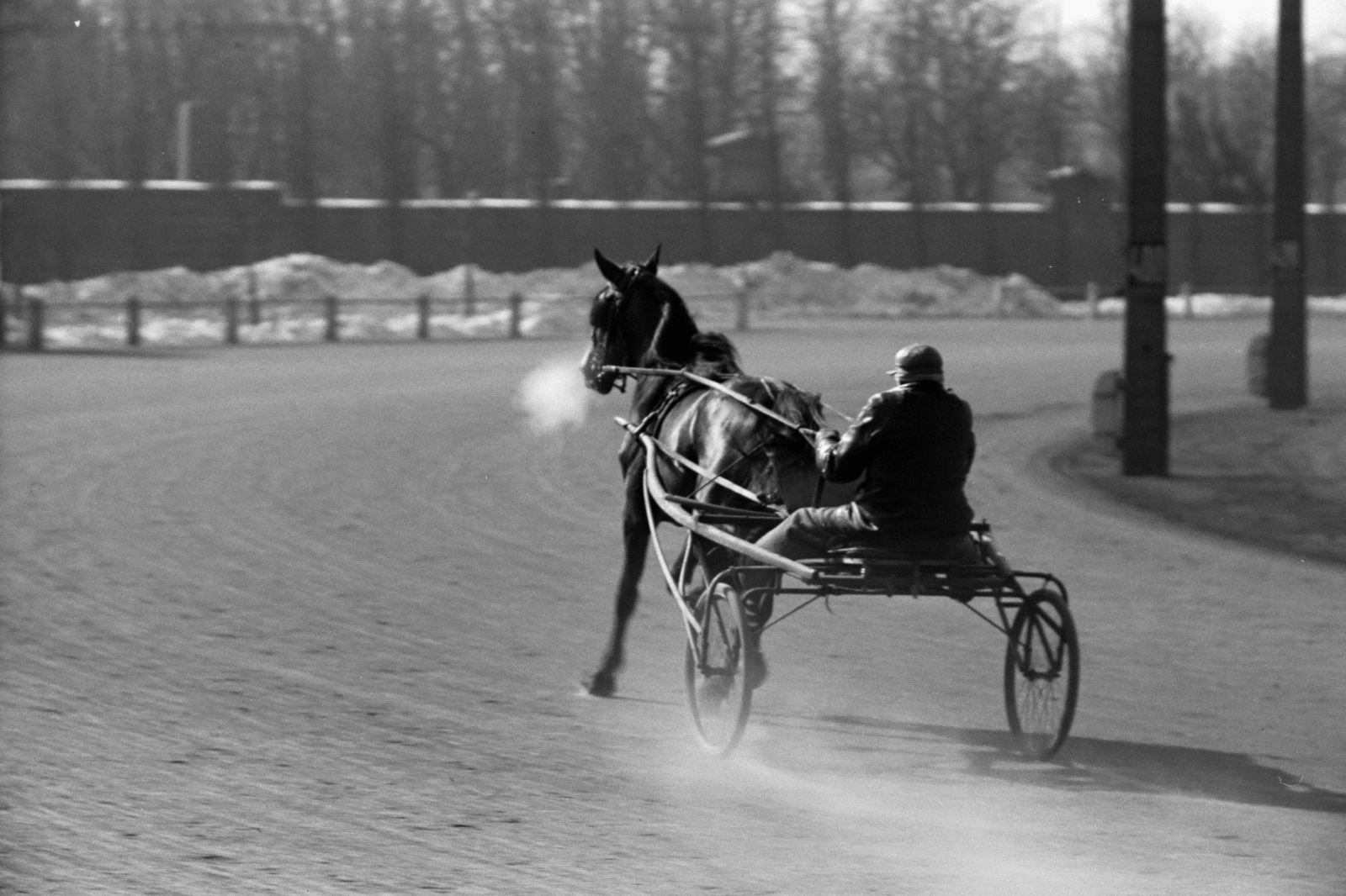 Hungary, Budapest VIII., Kerepesi úti Ügetőpálya, háttérben a Kerepesi temető kerítése. Reggeli munka (tréning)., 1939, Chuckyeager tumblr, horse race, Budapest, harness racing, Fortepan #142672