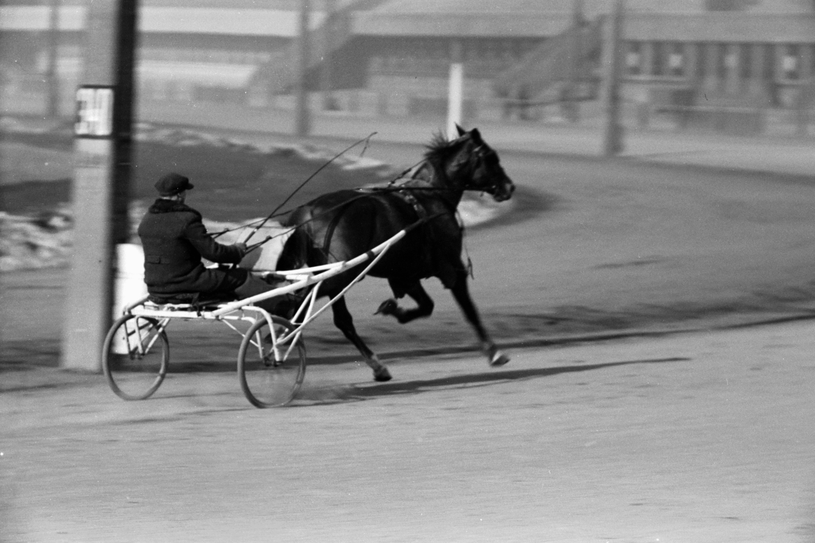 Hungary, Budapest VIII., Kerepesi úti Ügetőpálya, háttérben a III. helyi tribün. Reggeli munka (tréning)., 1939, Chuckyeager tumblr, horse race, Budapest, harness racing, Fortepan #142673