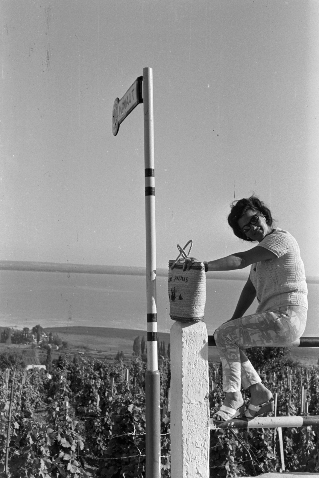 Hungary,Lake Balaton, Badacsonytomaj, kirándulójárat megállója a Kisfaludy Sándor utca, Rodortó út, Bogyai Lajos út találkozása közelében a Vadvirág turistaháznál., 1969, Chuckyeager tumblr, Fortepan #142826