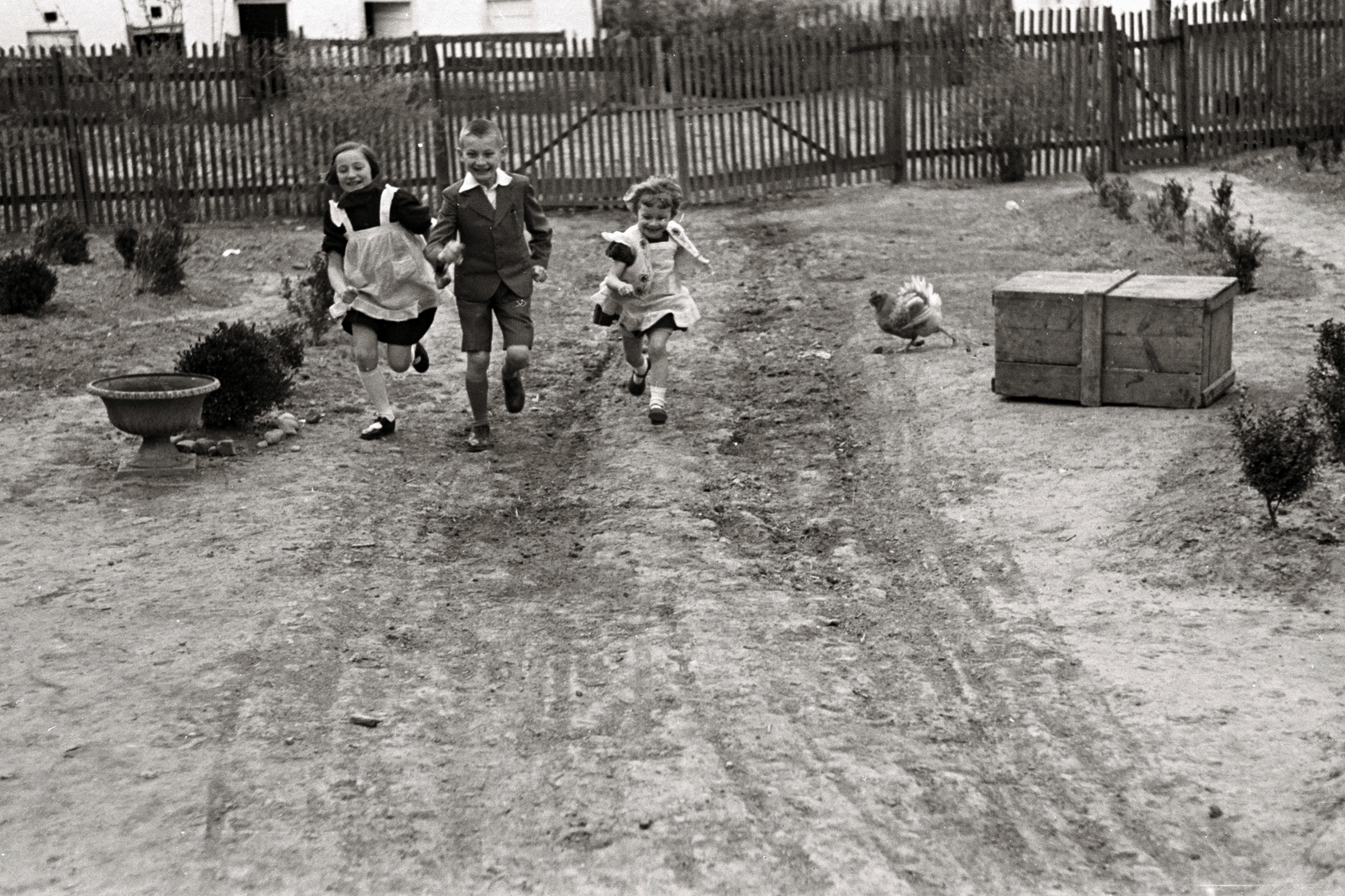 Hungary, Szentes, 1936, Chuckyeager tumblr, poultry, kids, chest, running, Fortepan #142876