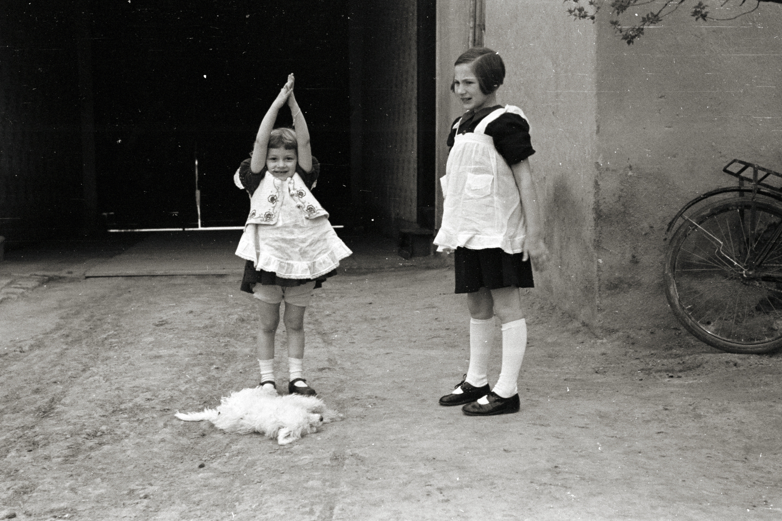 Hungary, Szentes, 1936, Chuckyeager tumblr, bicycle, dog, exercise, gateway, Fortepan #142877