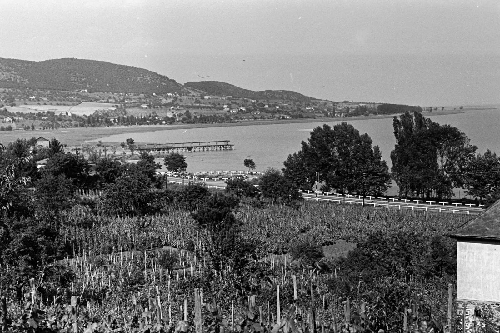 Hungary,Lake Balaton, Badacsonytomaj, középen a tóba benyúló kőrakodó., 1954, Chuckyeager tumblr, picture, lake, Fortepan #142937