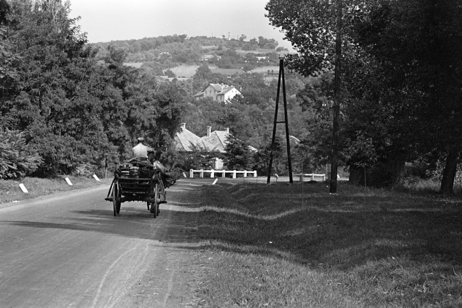 1954, Chuckyeager tumblr, ló, szekér, lovaskocsi, kocsis, Fortepan #142951