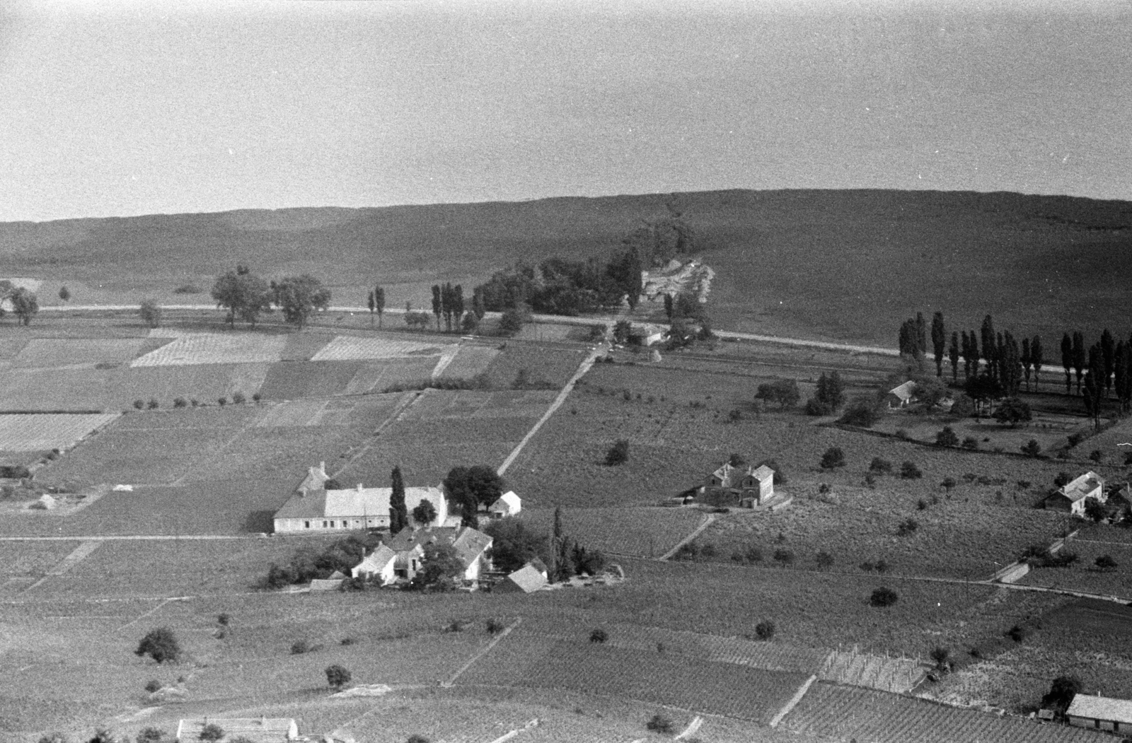 Hungary,Lake Balaton, kilátás a Badacsonyról, középen a Szőlészeti és Borászati Kutatóintézet badacsonyi állomása., 1954, Chuckyeager tumblr, bird's eye view, Fortepan #142961