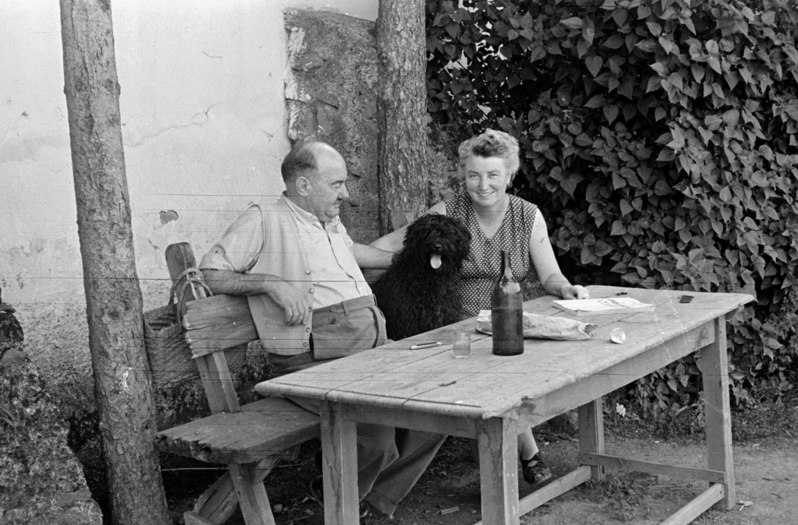 Hungary,Lake Balaton, Badacsonytomaj, a felvétel egy Római úti ház kertjében készült., 1954, Chuckyeager tumblr, dog, garden, bag, Fortepan #142966