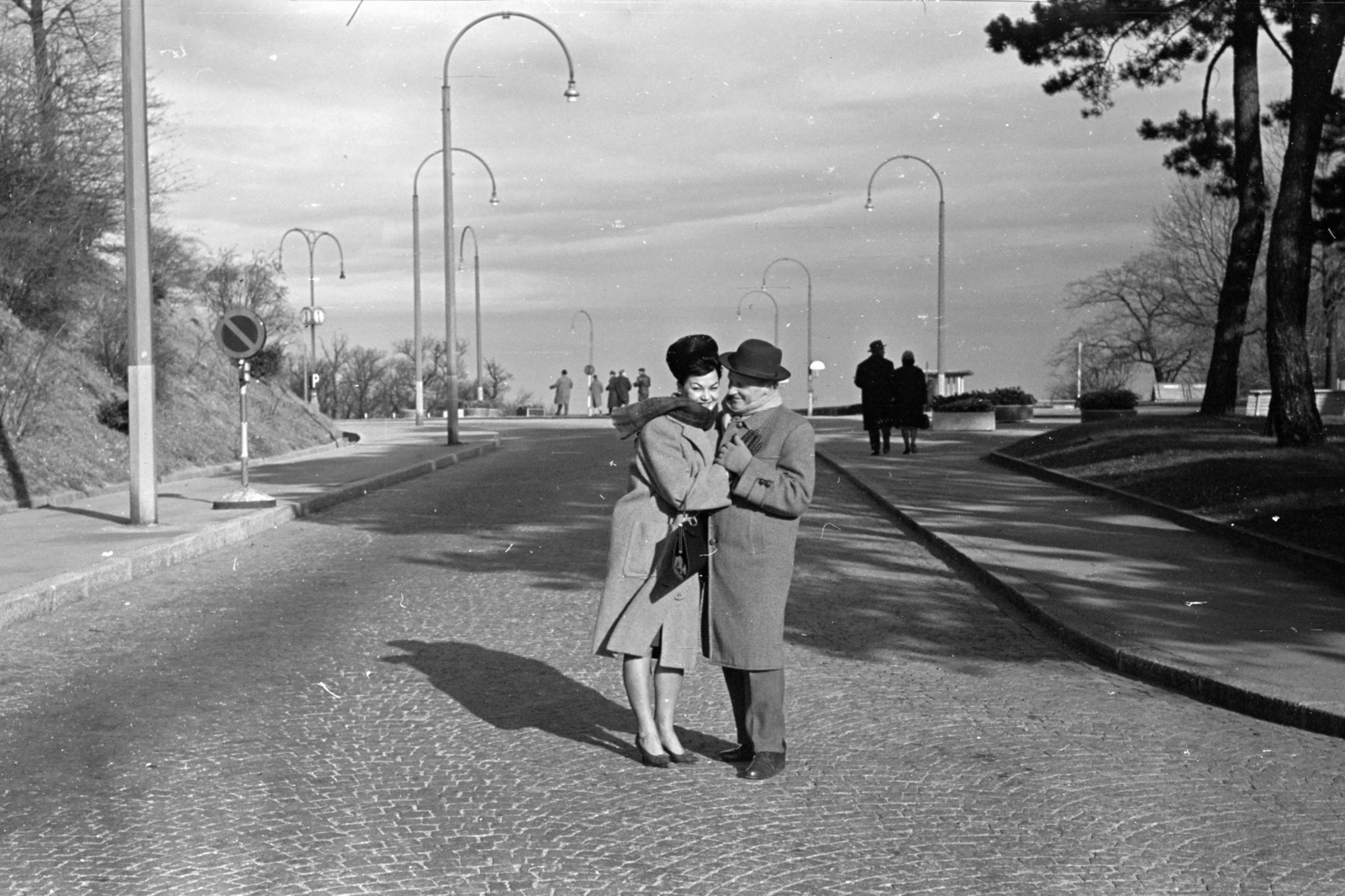 Austria, Vienna, Kahlenberg, a Höhenstrasse parkolók a Kahlenberg étterem felől., 1964, Chuckyeager tumblr, Fortepan #142980