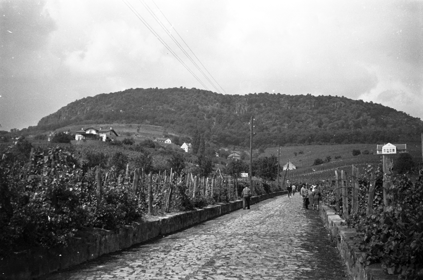 Hungary,Lake Balaton, Badacsonytomaj, Kisfaludy Sándor utca., 1961, Chuckyeager tumblr, Fortepan #143007