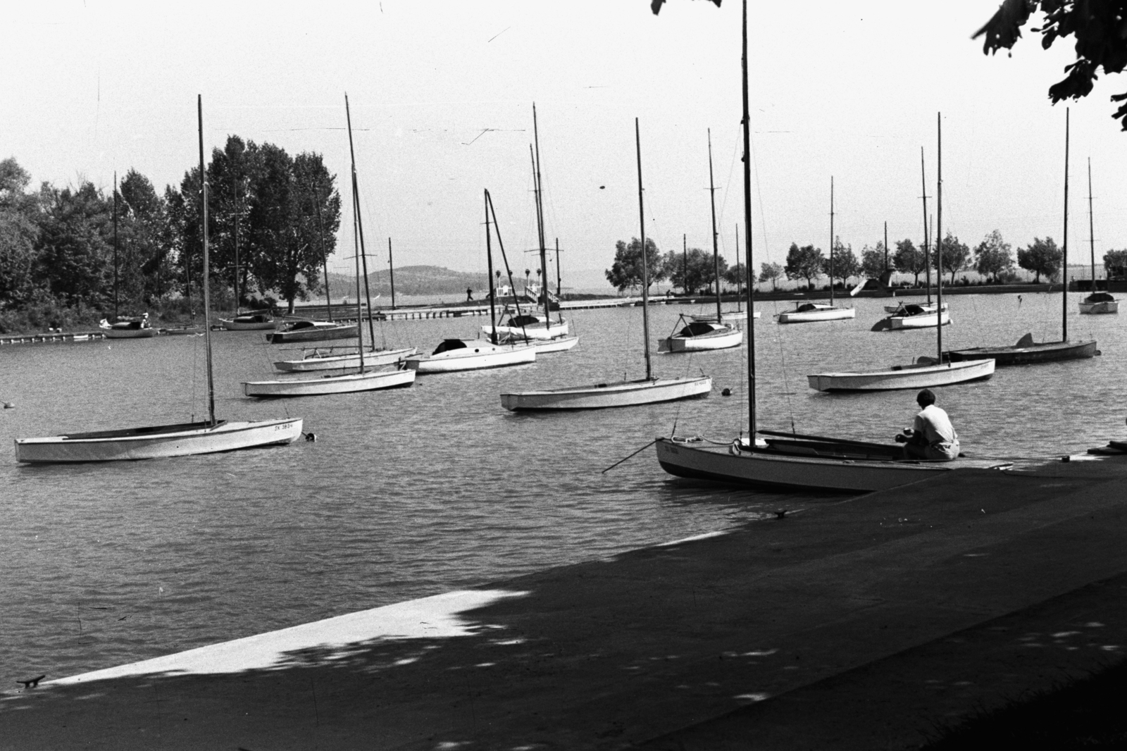 Hungary, Balatonföldvár, vitorláskikötő a partról nézve, balra a Galamb-sziget., 1961, Chuckyeager tumblr, Fortepan #143018