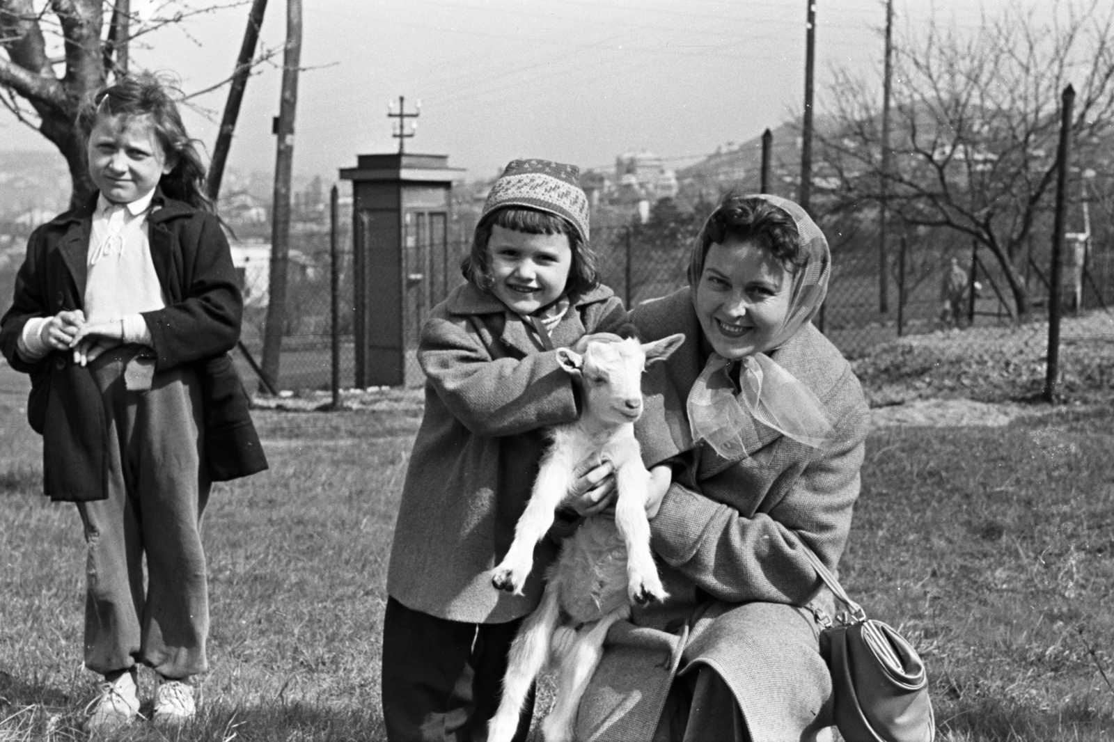 Magyarország, Budapest XII., látkép a Tornalja utca 8. számú telekről, háttérben a Sas-hegy., 1957, Chuckyeager tumblr, Budapest, bárány, Fortepan #143022