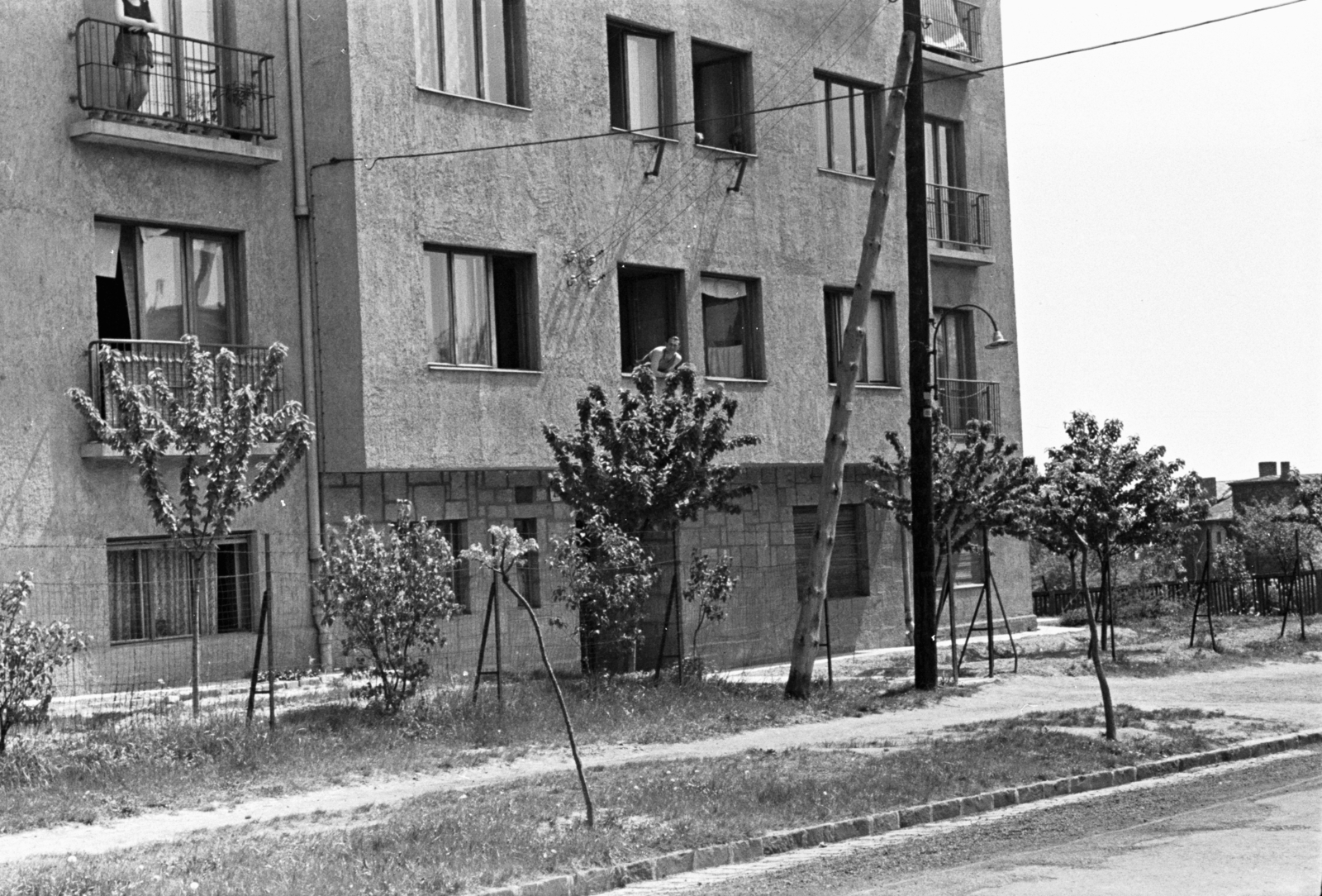 Magyarország, Budapest XII., Stromfeld Aurél út 41., 1964, Chuckyeager tumblr, utcakép, facsemete, Budapest, Fortepan #143089