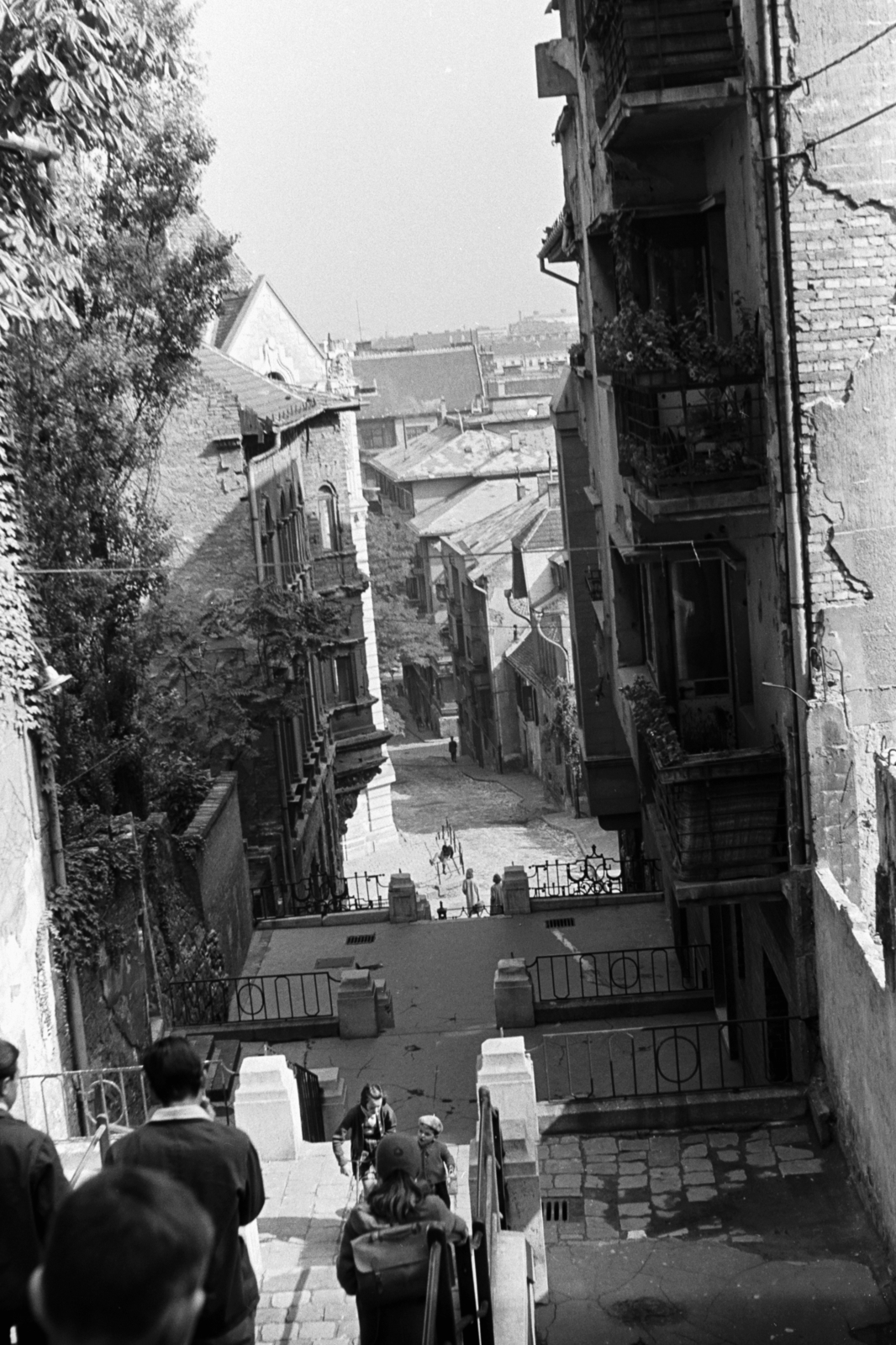 Hungary, Budapest I., Ponty utca a Donáti utca felől a Szalag utca felé nézve., 1960, Chuckyeager tumblr, Budapest, hillside, street view, terrace, Fortepan #143156
