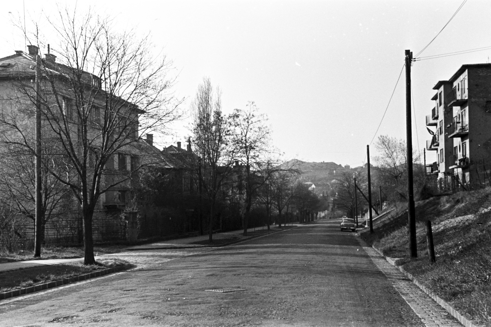Hungary, Budapest XII., Stromfeld Aurél út a Levendula utca felé nézve, háttérben a Sas-hegy., 1960, Chuckyeager tumblr, Budapest, street view, Fortepan #143255