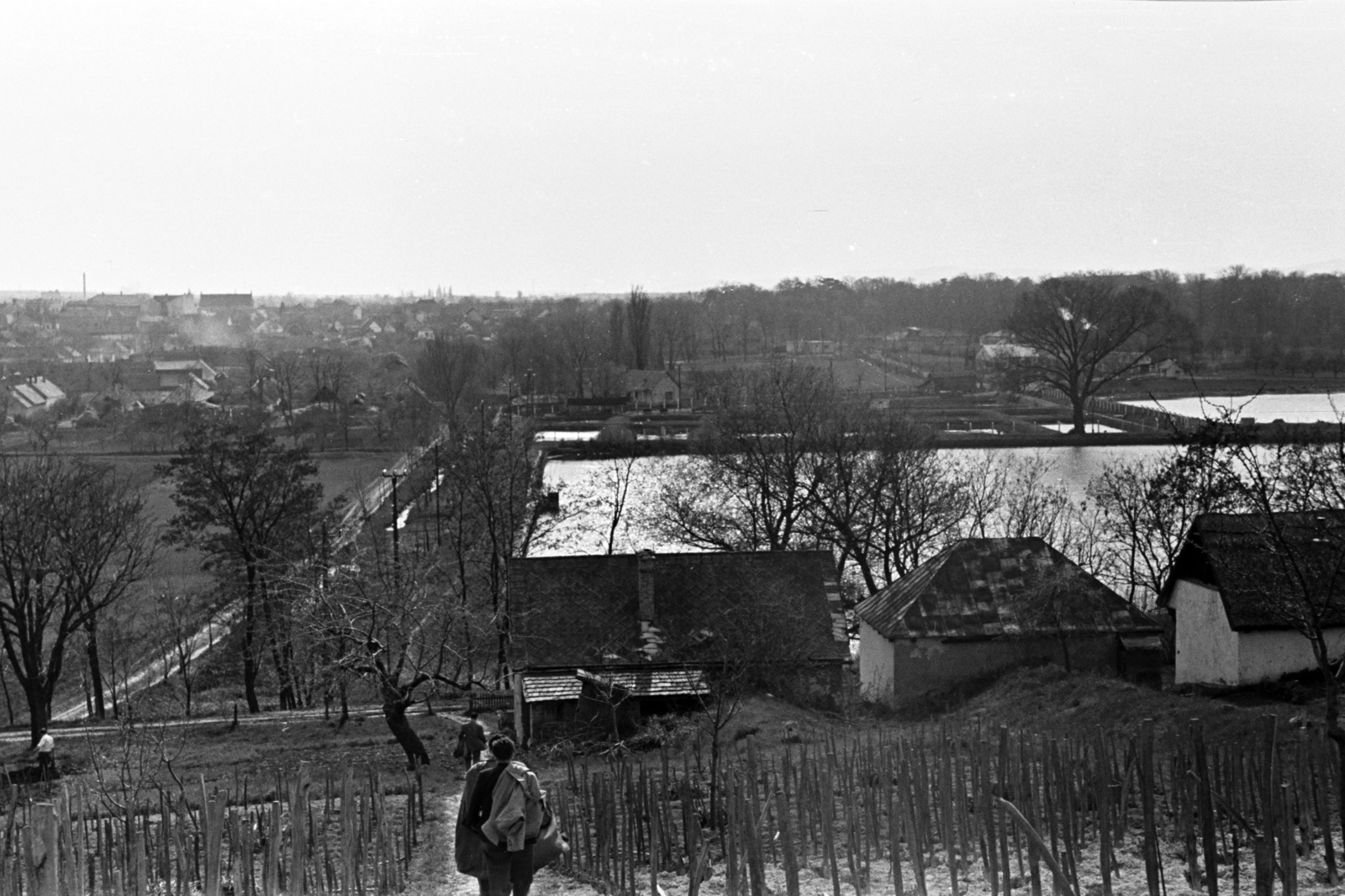 1960, Chuckyeager tumblr, picture, vine, pool, hillside, Fortepan #143260