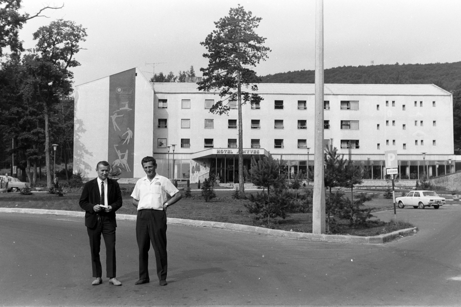 Hungary, Sopron, Várisi út 4., Hotel Fenyves (később Hotel Lövér). Balra a homlokzaton Ludmány Ottó sgraffito-ja., 1966, Chuckyeager tumblr, Fortepan #143276