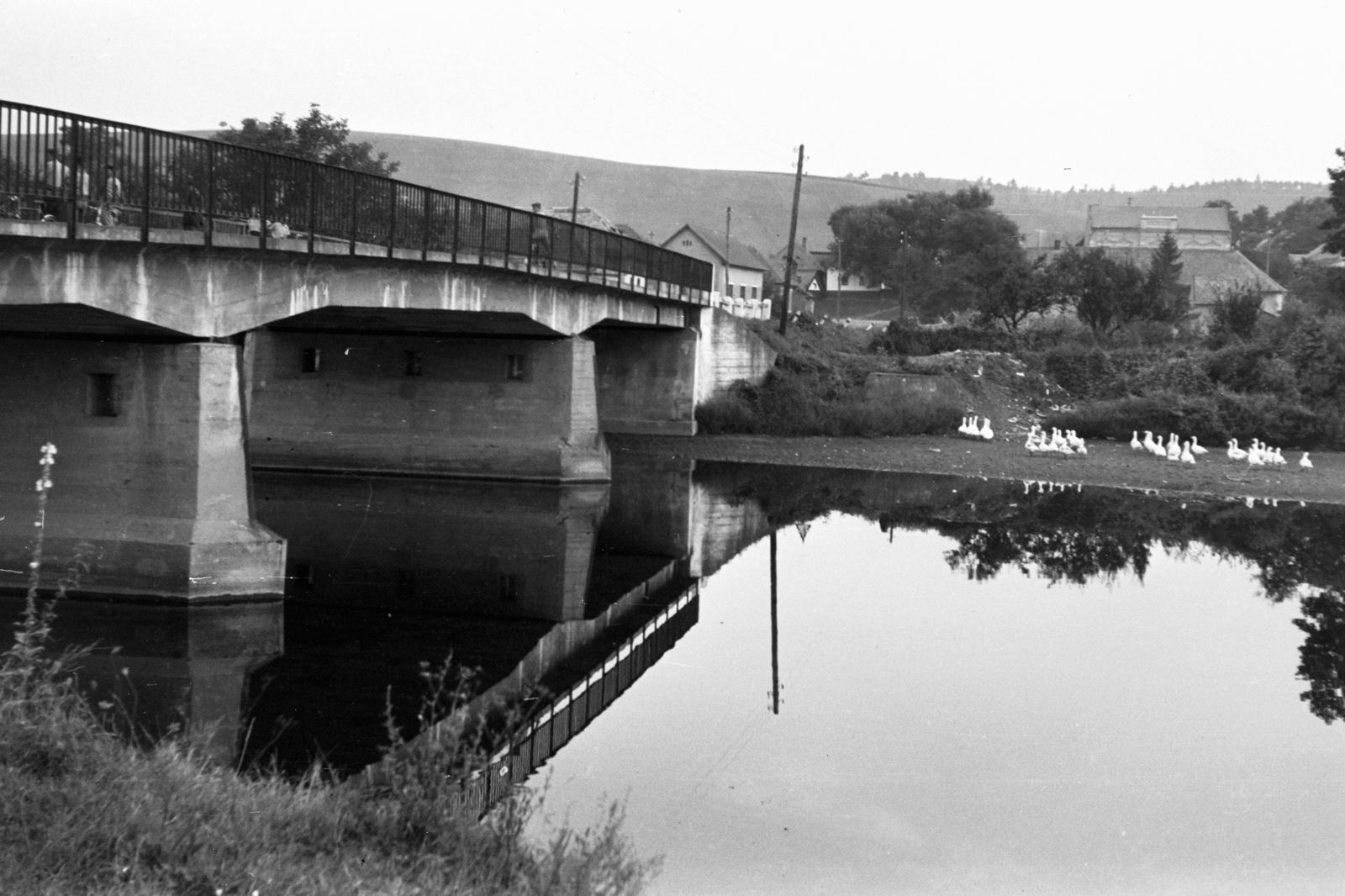 Hungary, Sajópüspöki, közúti híd a Sajón., 1960, Chuckyeager tumblr, bridge, concrete bridge, Fortepan #143596