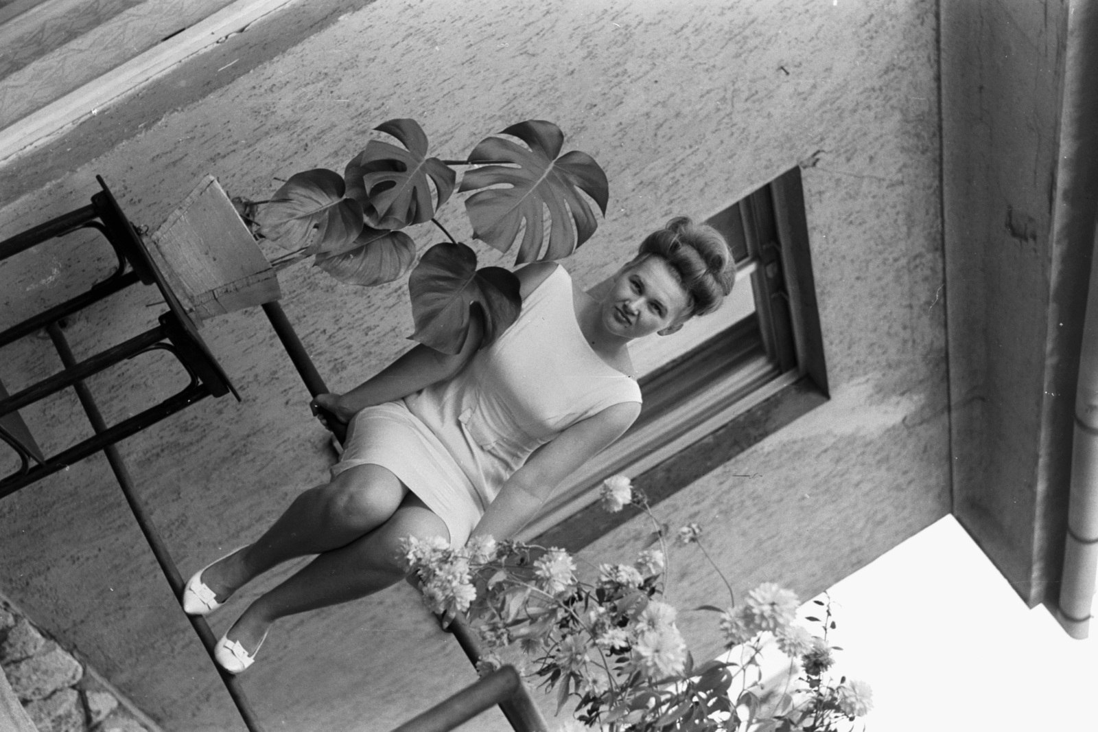 1961, Chuckyeager tumblr, portrait, terrace, lady, philodendron, Fortepan #143653