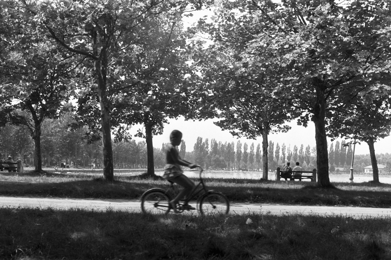 Hungary, Balatonboglár, a felvétel a Platán soron készült, a háttérben látható öböl feltöltésre került, mára megszűnt., 1959, Chuckyeager tumblr, bicycle, Fortepan #143788