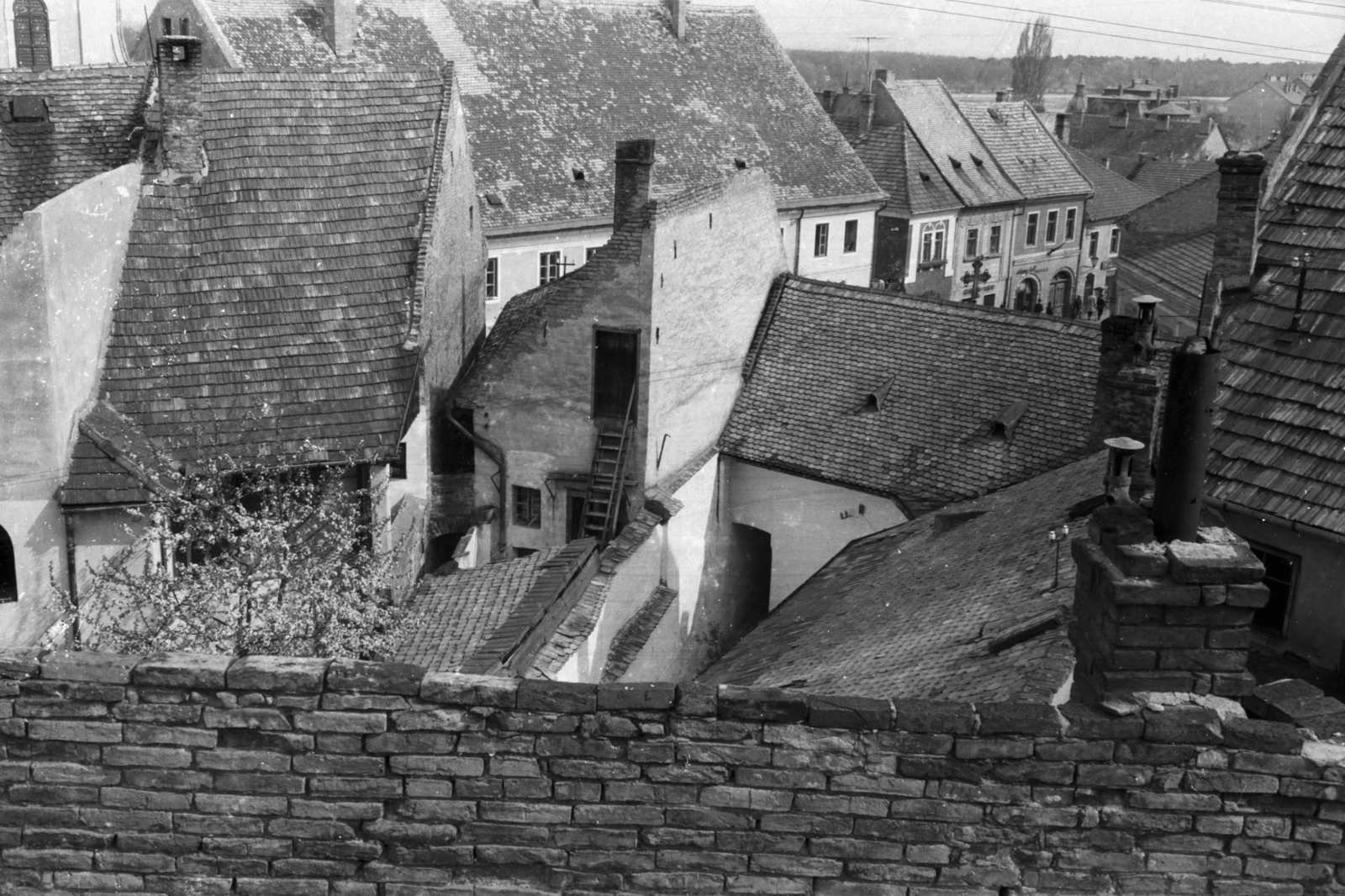 Magyarország, Szentendre, kilátás a Várdombról a Fő (Marx) tér és a Dumtsa Jenő utca felé., 1960, Chuckyeager tumblr, háztető, Fortepan #143829