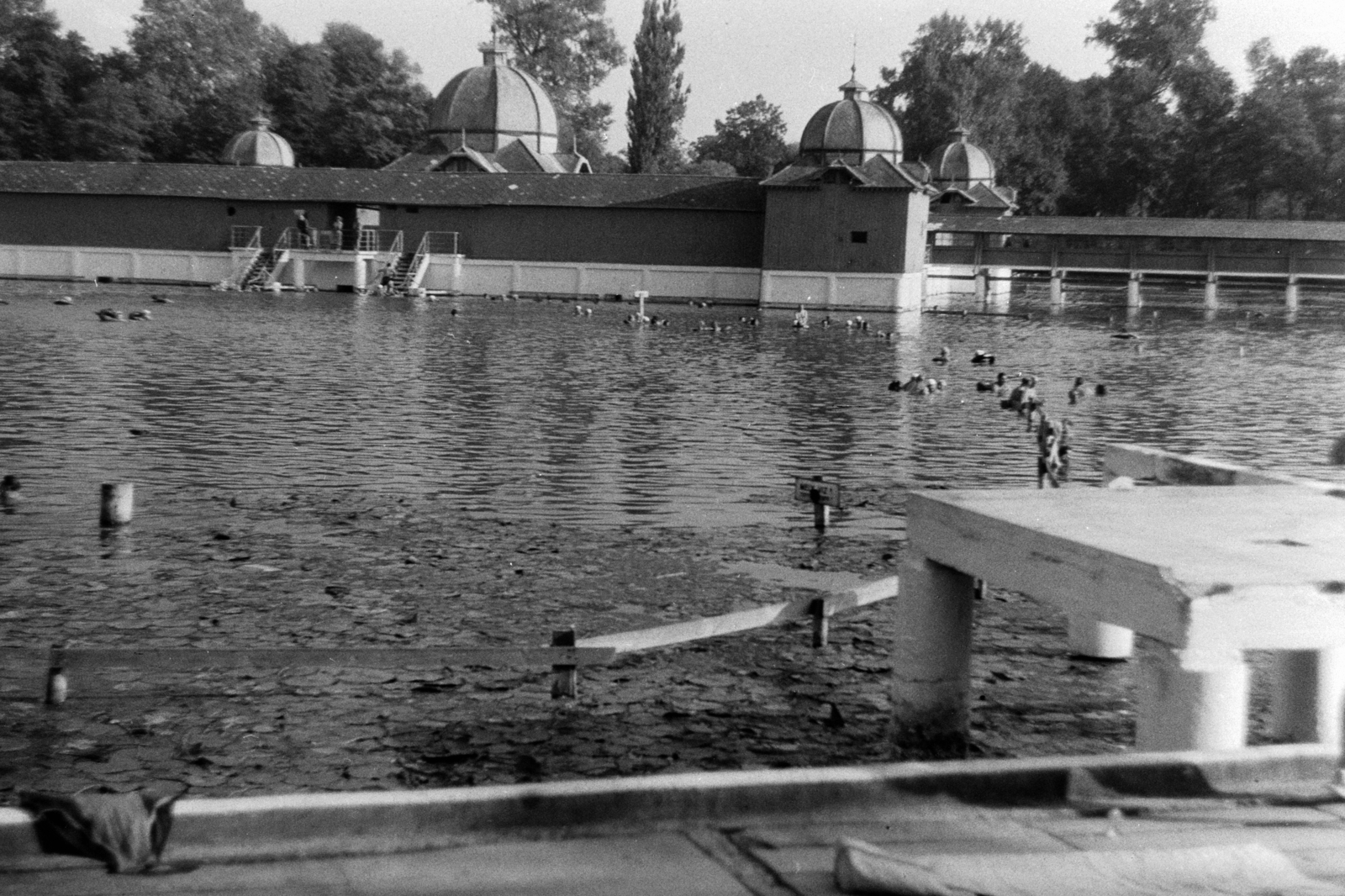 Hungary, Hévíz, Tófürdő., 1958, Chuckyeager tumblr, pool, Fortepan #143920